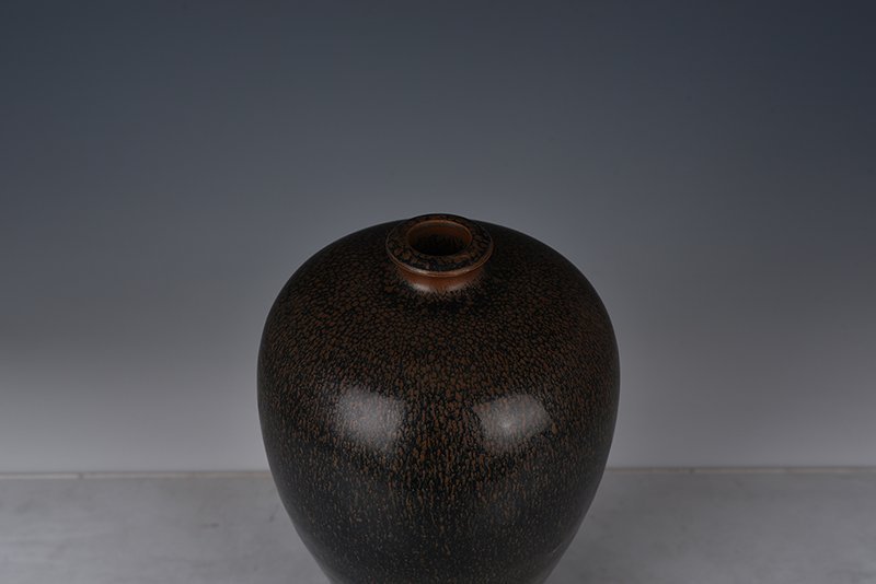 Song Dynasty Jian Kiln plum vase