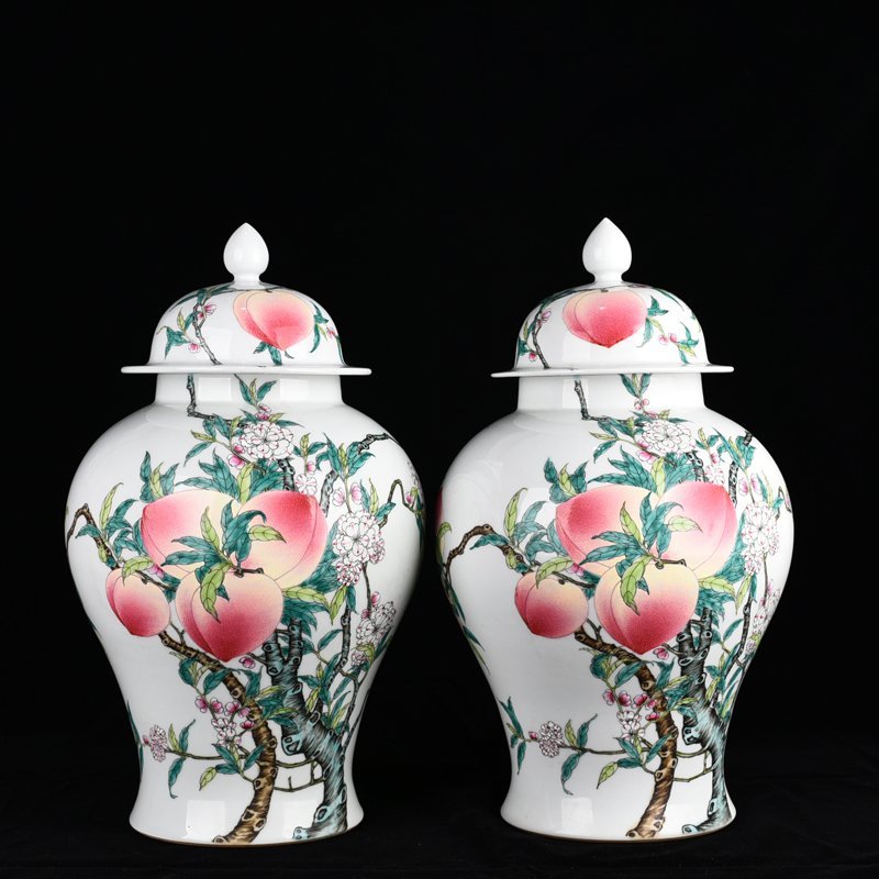 Qing Dynasty Qianlong pastel Five Blessings and Nine Peach Pattern General Jar