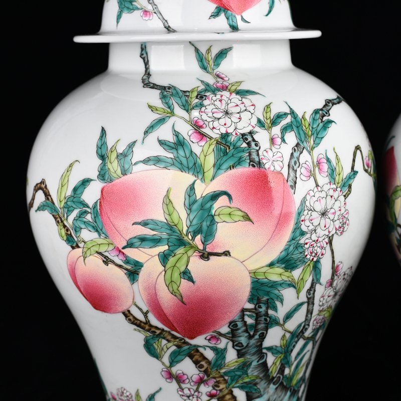Qing Dynasty Qianlong pastel Five Blessings and Nine Peach Pattern General Jar