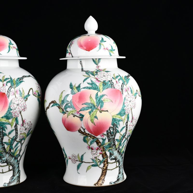 Qing Dynasty Qianlong pastel Five Blessings and Nine Peach Pattern General Jar