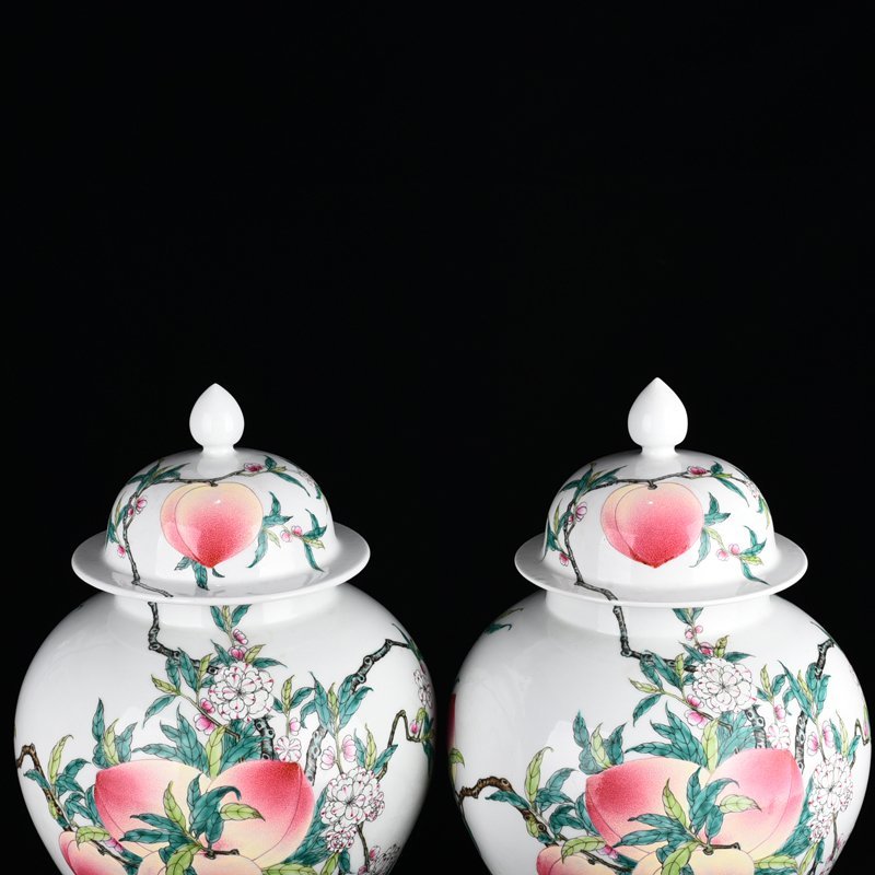 Qing Dynasty Qianlong pastel Five Blessings and Nine Peach Pattern General Jar