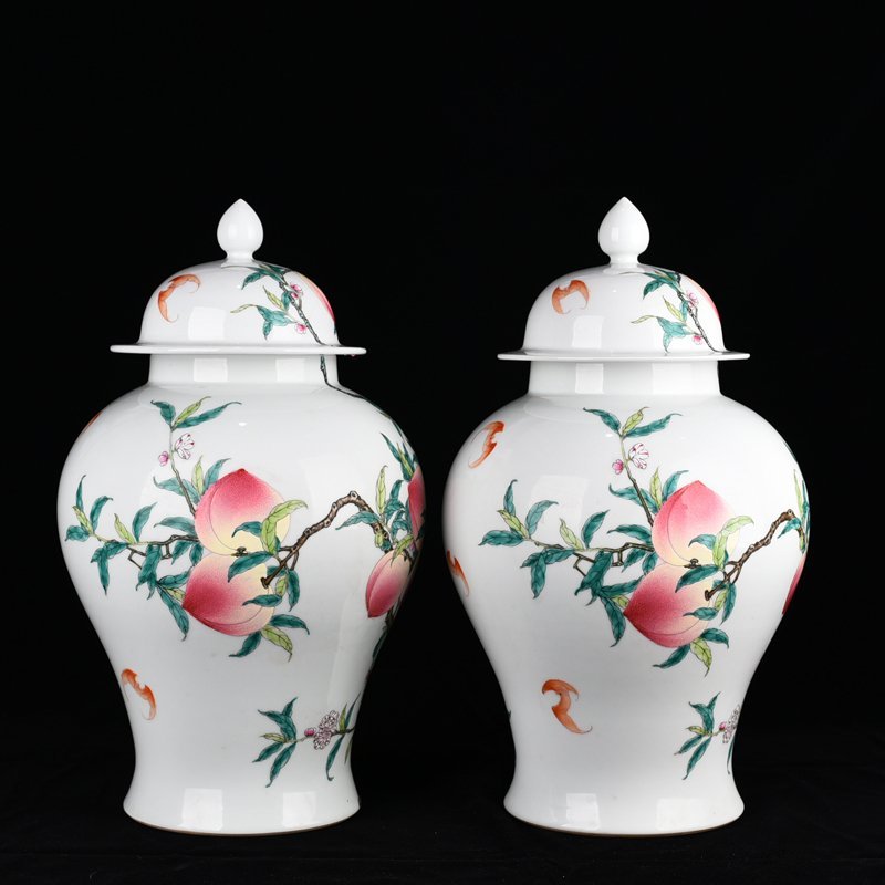 Qing Dynasty Qianlong pastel Five Blessings and Nine Peach Pattern General Jar