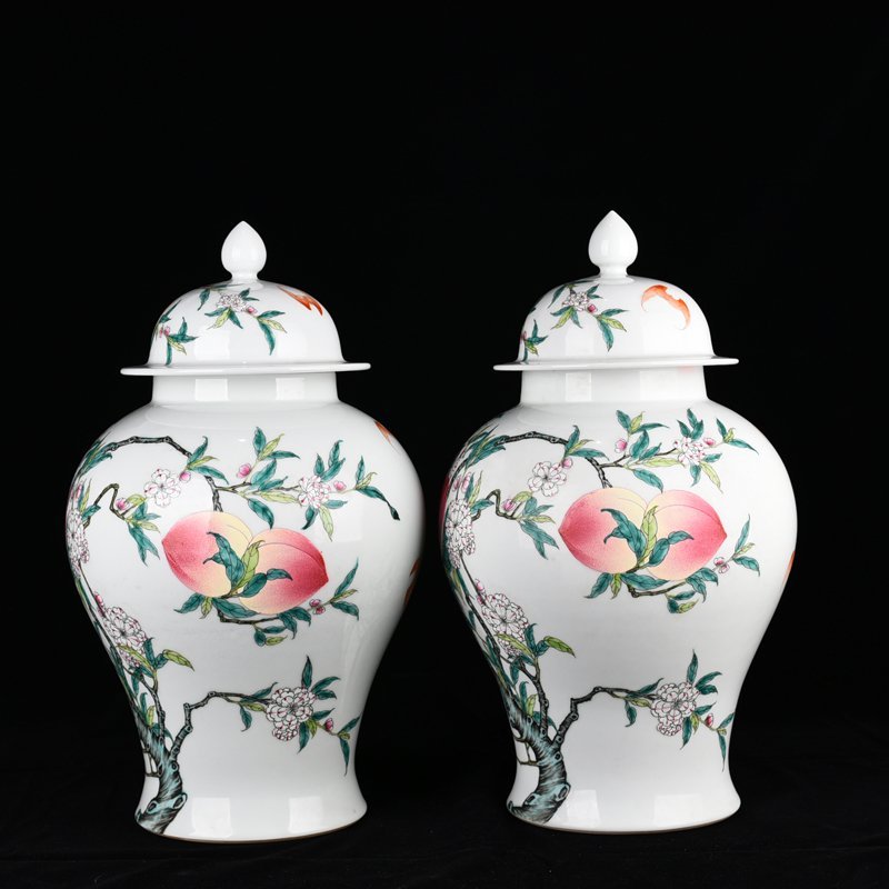 Qing Dynasty Qianlong pastel Five Blessings and Nine Peach Pattern General Jar