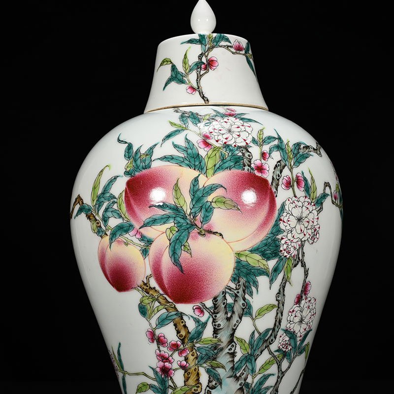 Qing Dynasty Qianlong pastel five blessings and nine peach patterns longevity plum vase