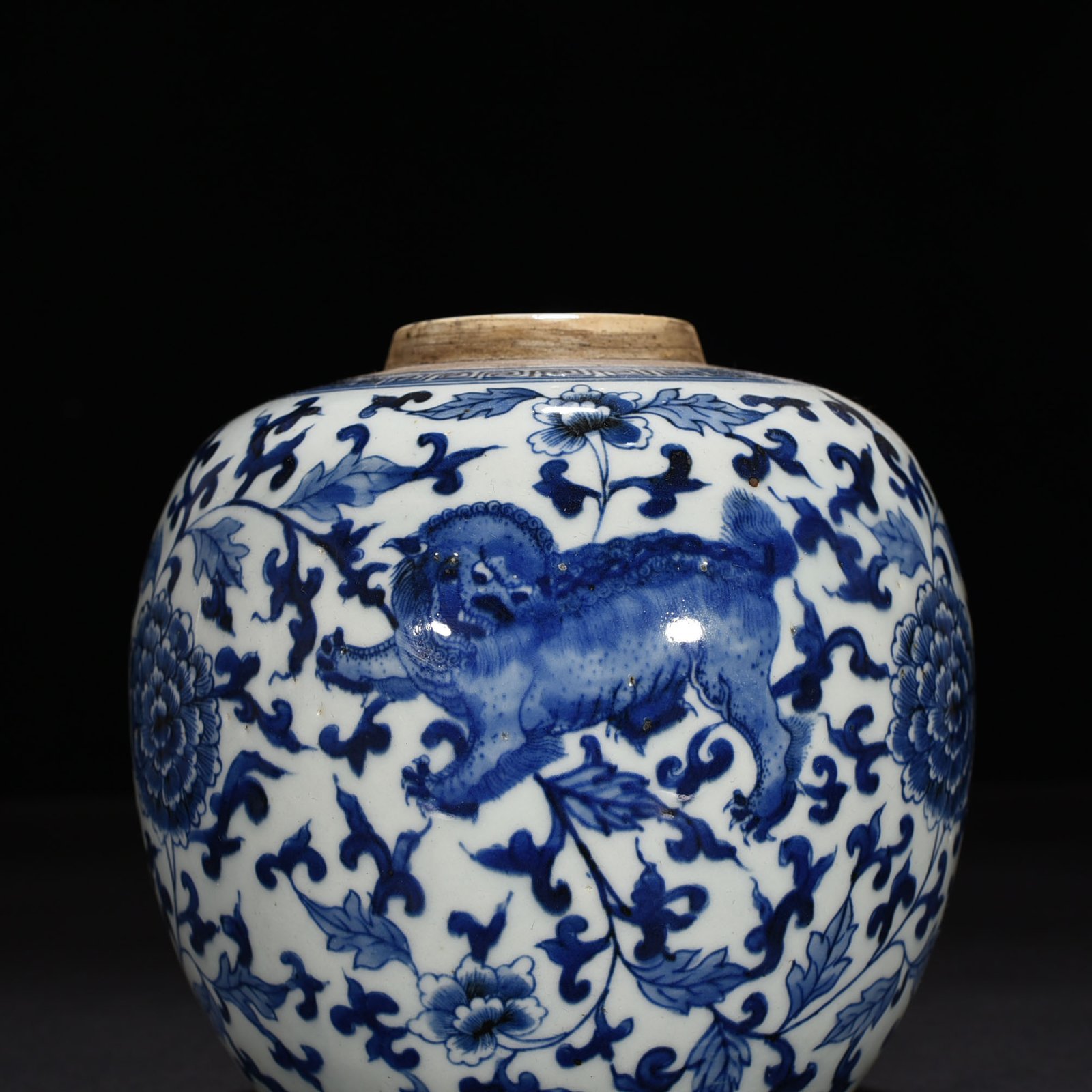 Qing Dynasty blue and white jar with branches and lion pattern