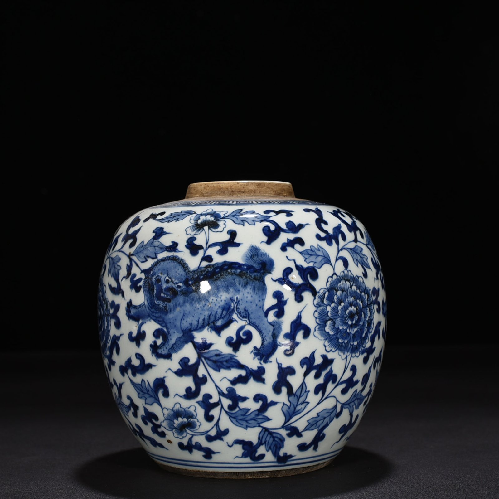 Qing Dynasty blue and white jar with branches and lion pattern