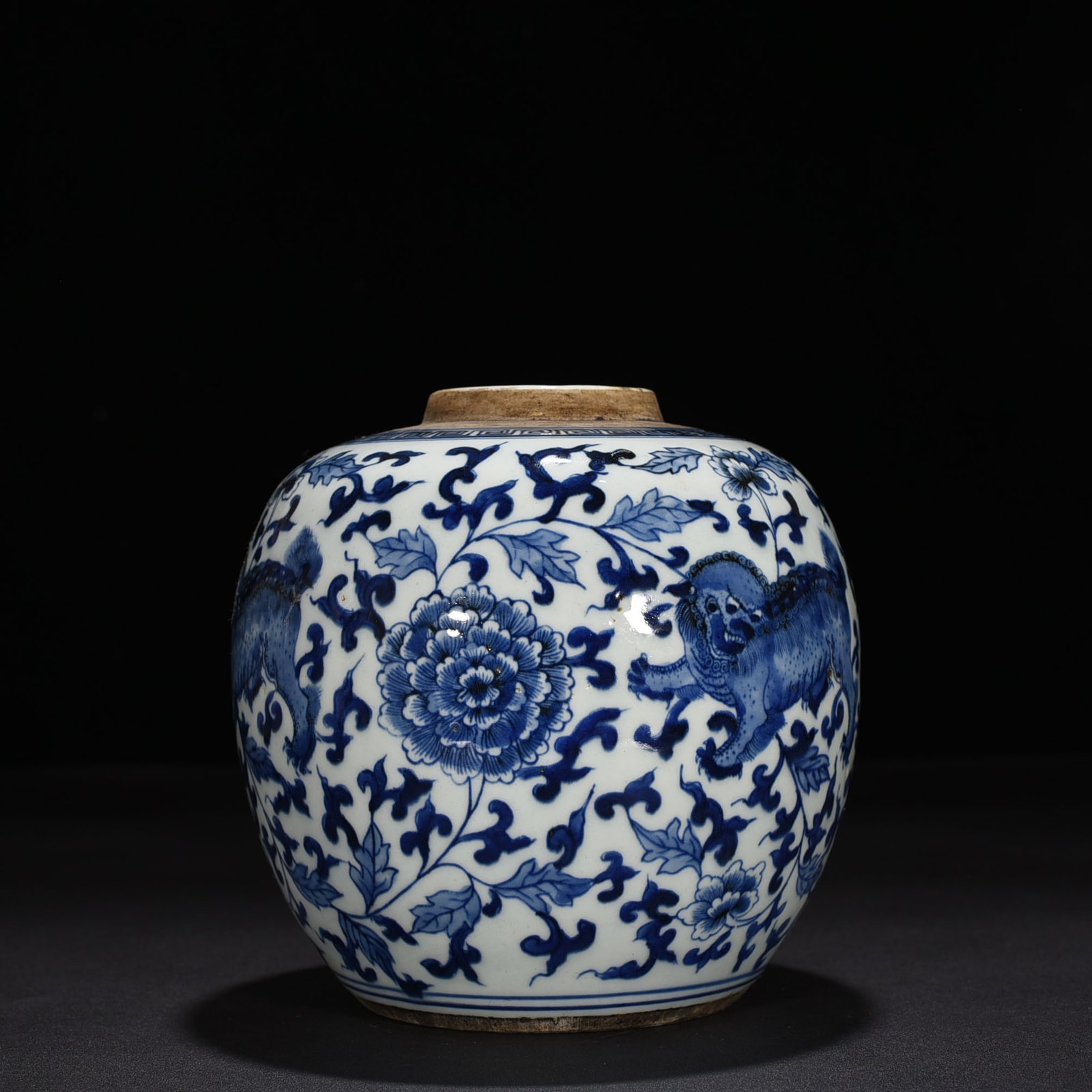 Qing Dynasty blue and white jar with branches and lion pattern