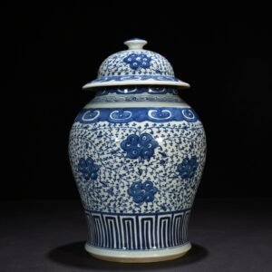 Qing Dynasty blue and white general jar with intertwining branches and floral patterns