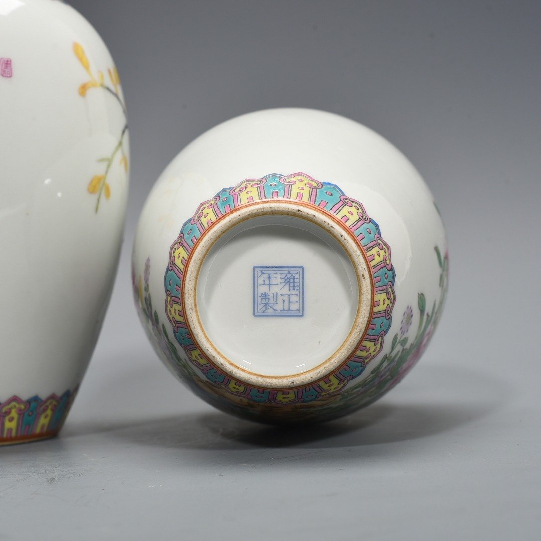 Qing Dynasty Yongzheng enamel vase with flower