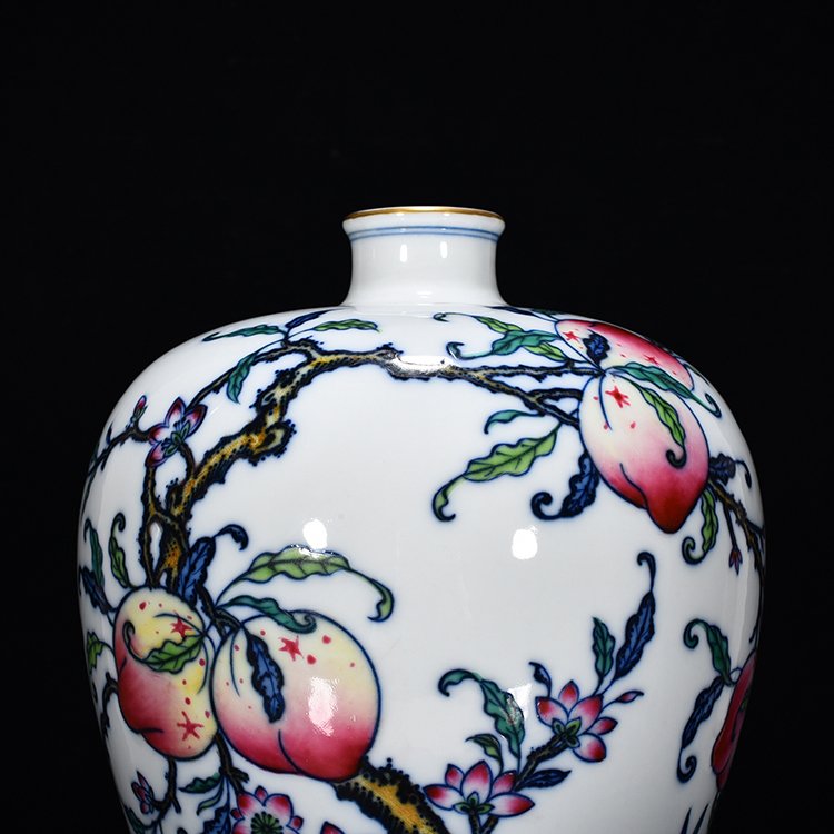 Qing Dynasty Yongzheng Doucai Fushou Ruyi Plum Vase