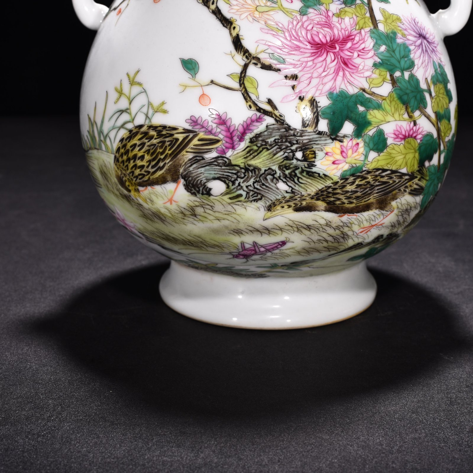 Qing Dynasty Yongzheng enamel double eared vase