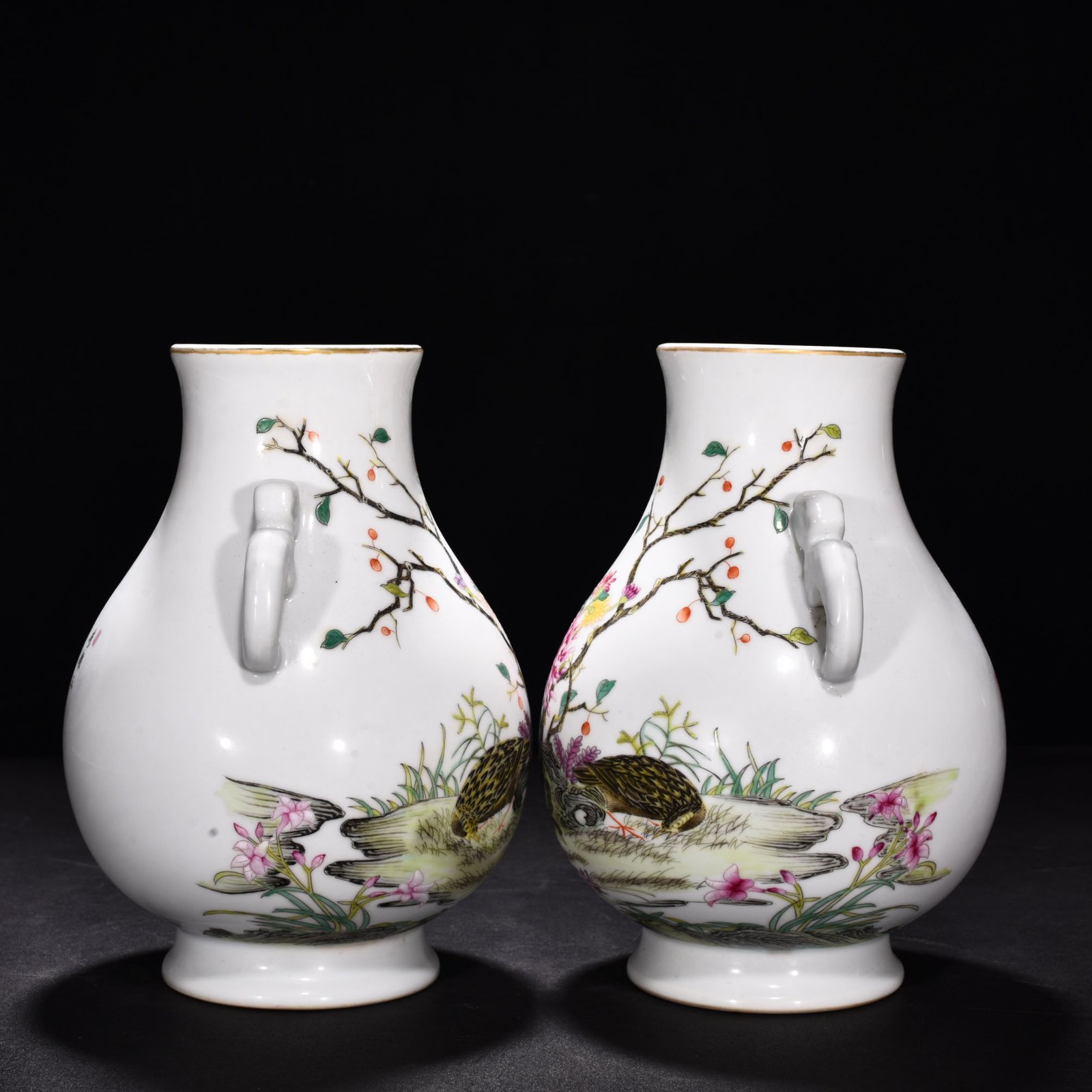 Qing Dynasty Yongzheng enamel double eared vase