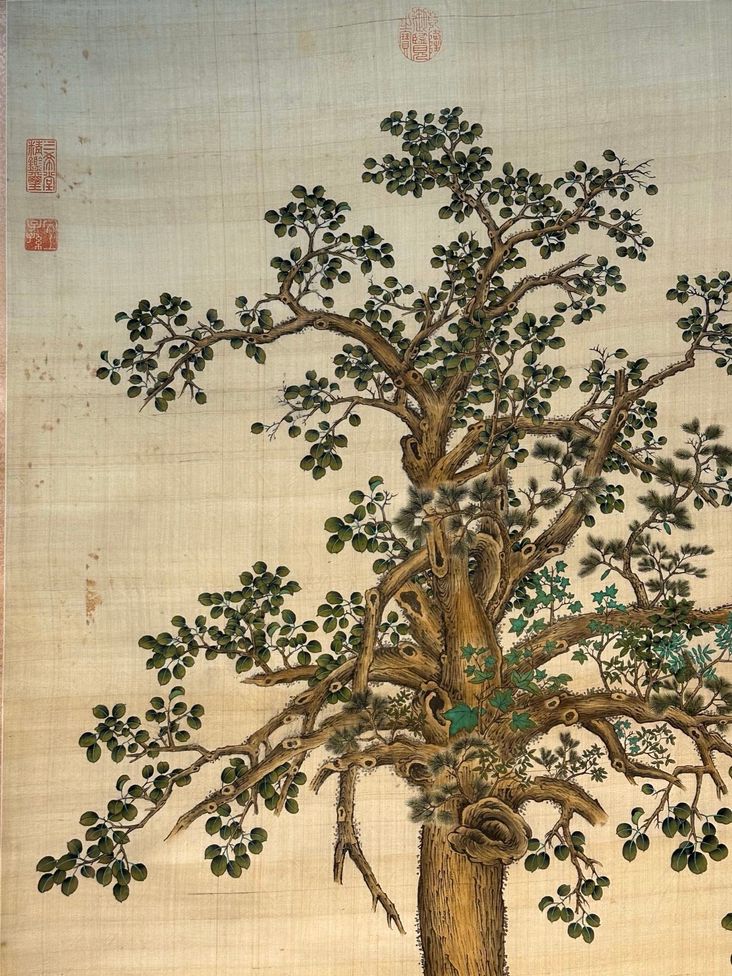 Chinese scroll painting Giuseppe