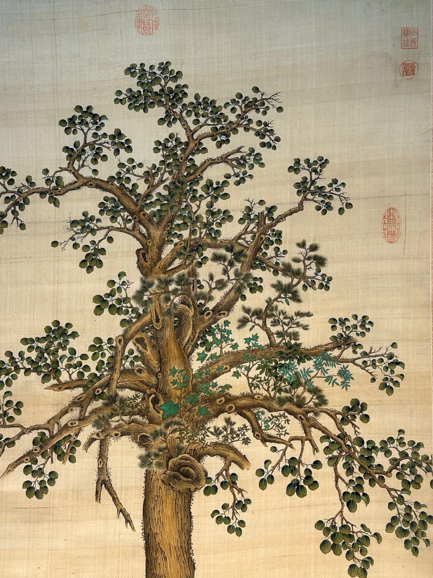 Chinese scroll painting Giuseppe