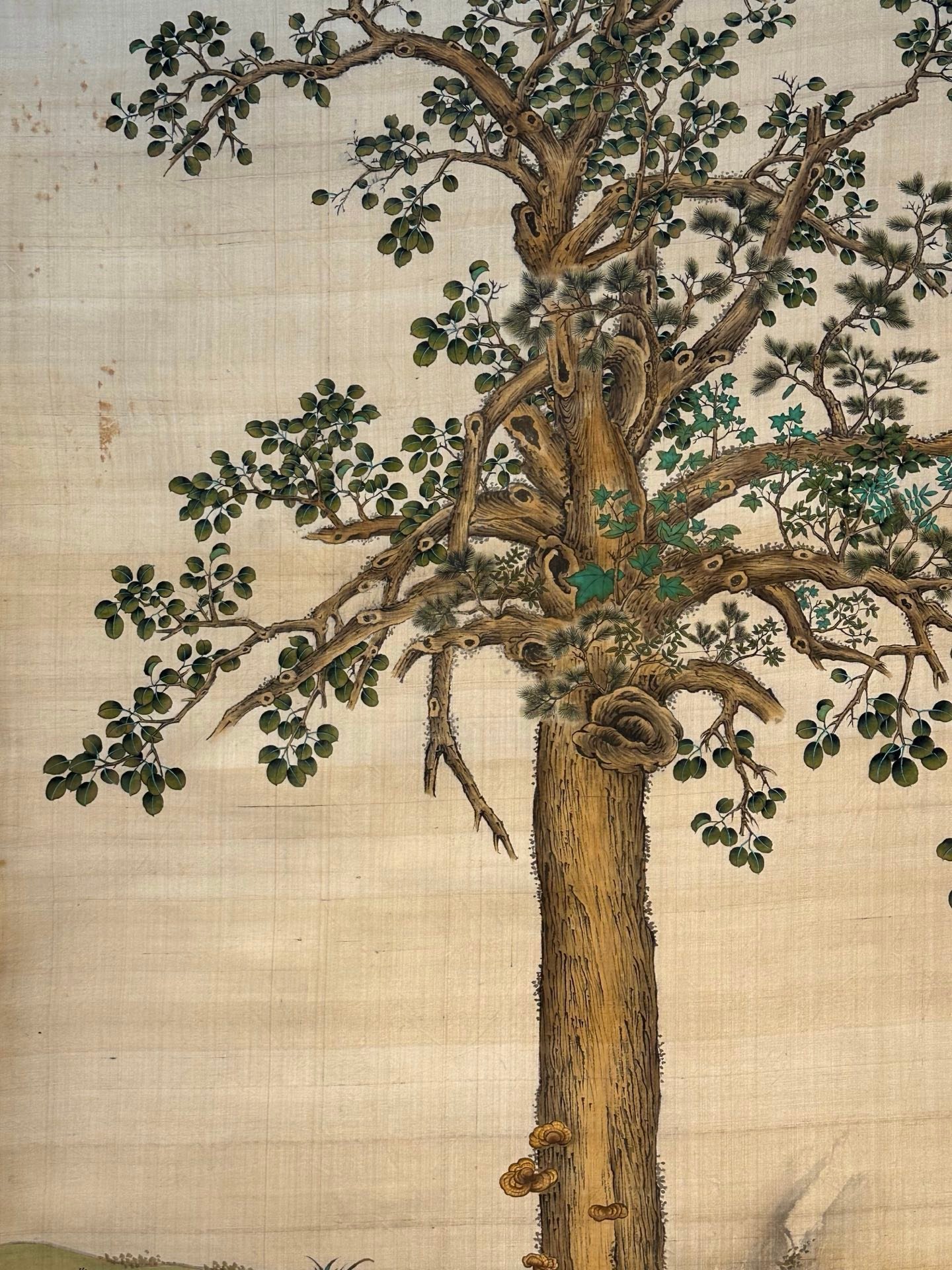 Chinese scroll painting Giuseppe