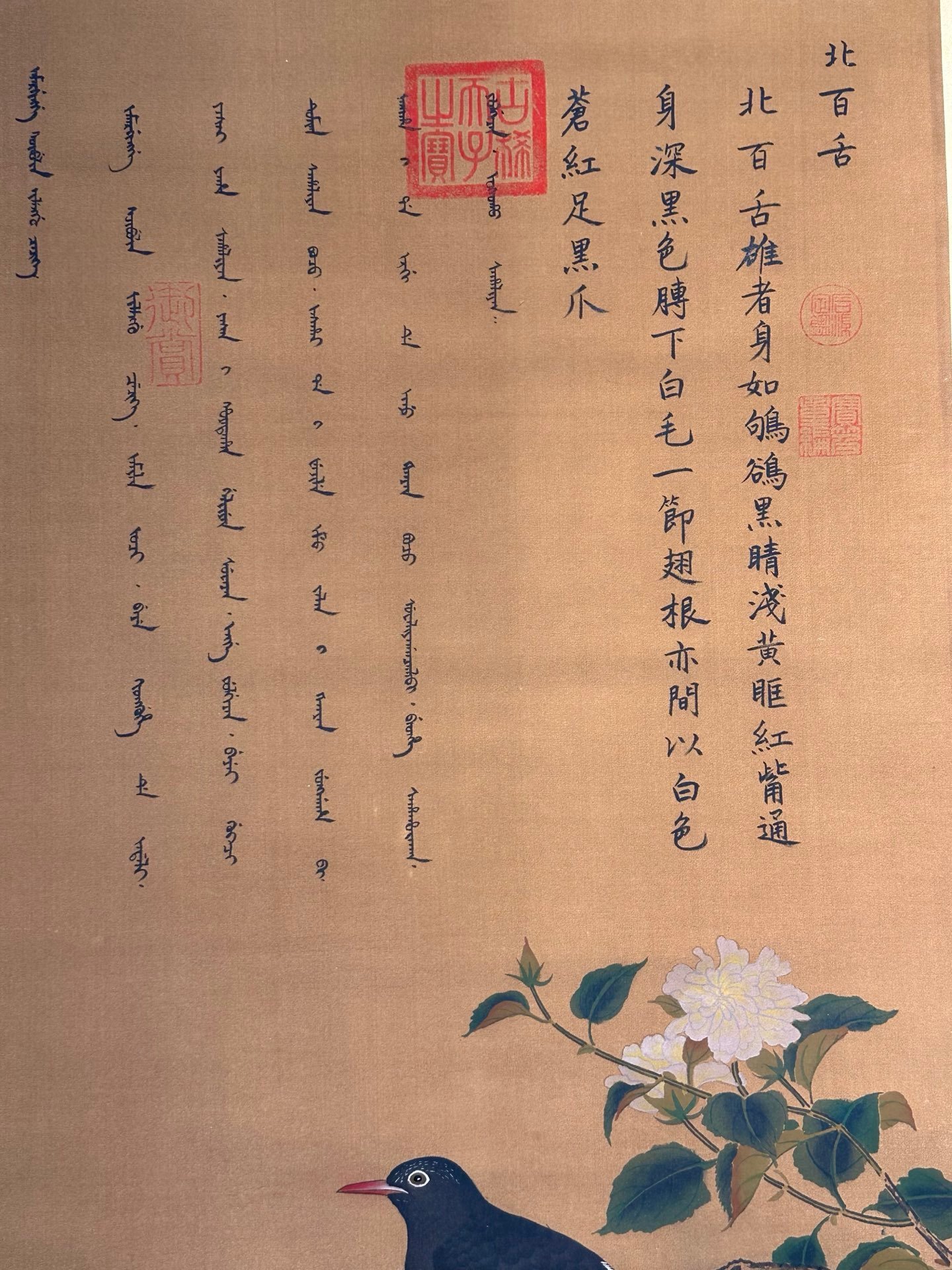 Chinese scroll painting Giuseppe