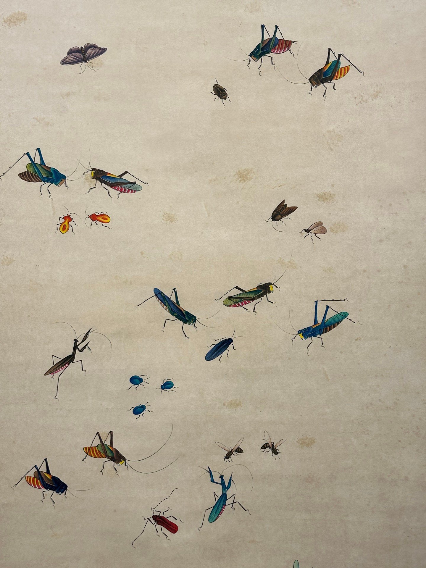 Chinese scroll painting Qi Baishi