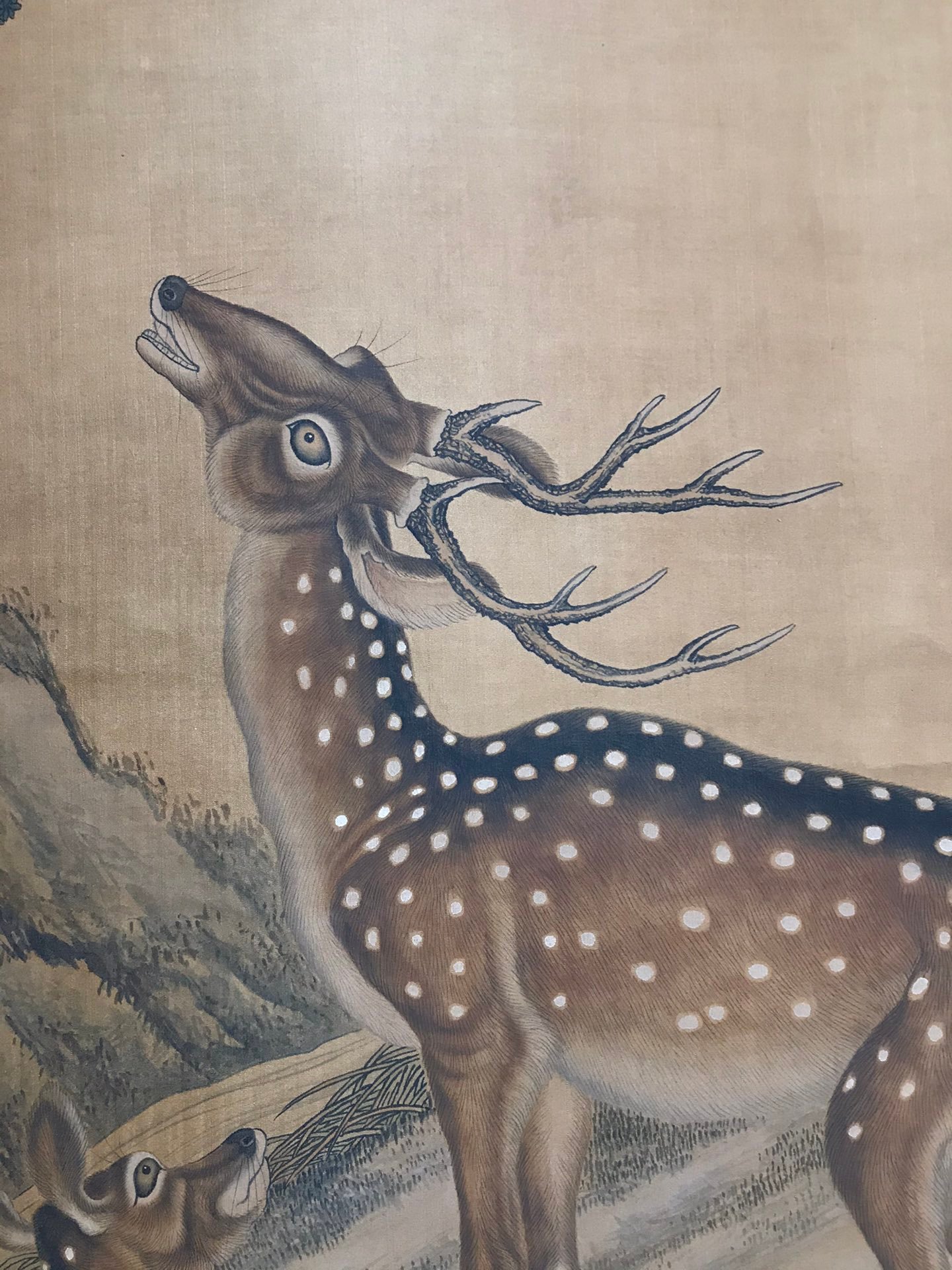 Chinese scroll painting Shen Quan