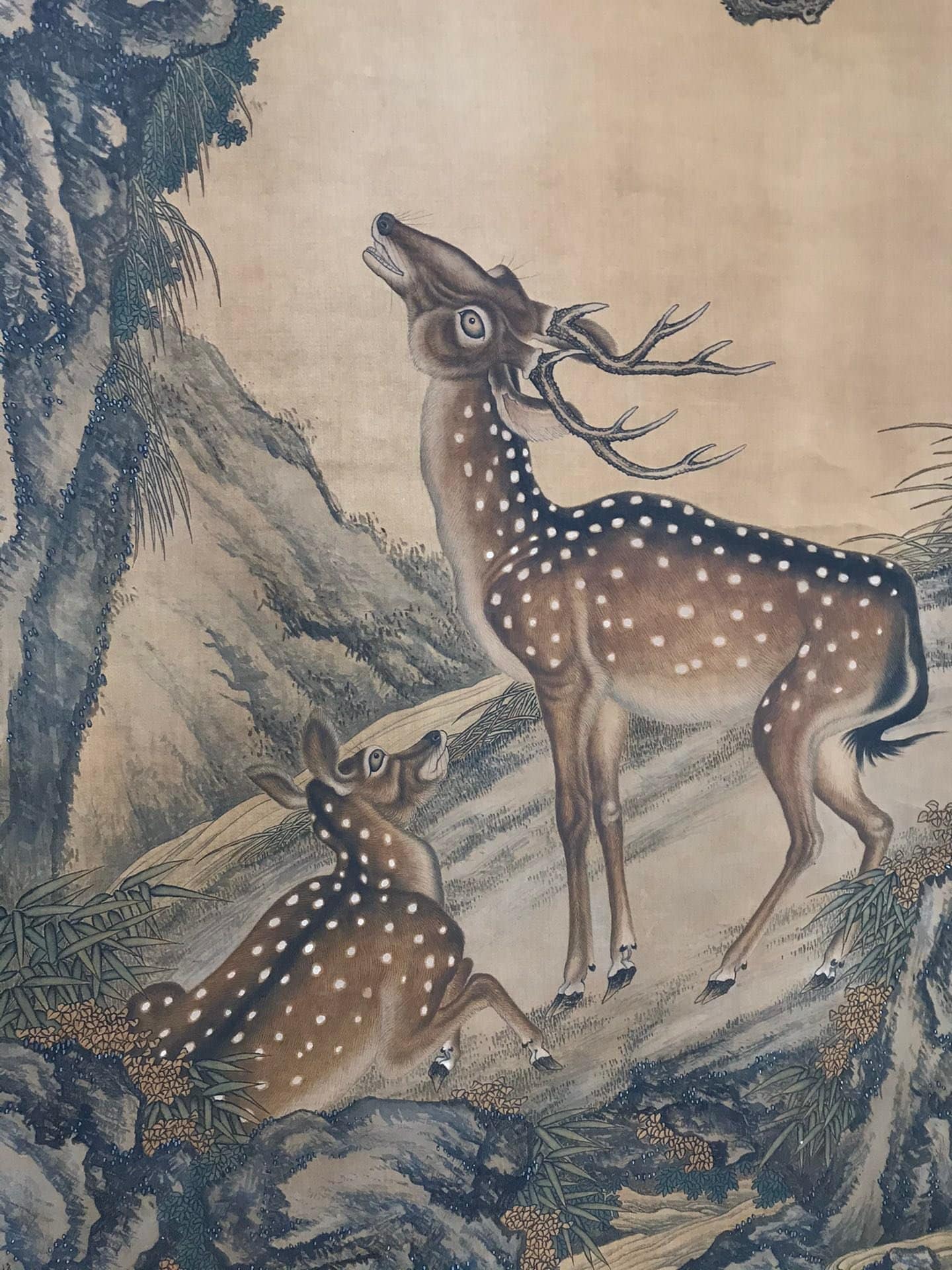 Chinese scroll painting Shen Quan