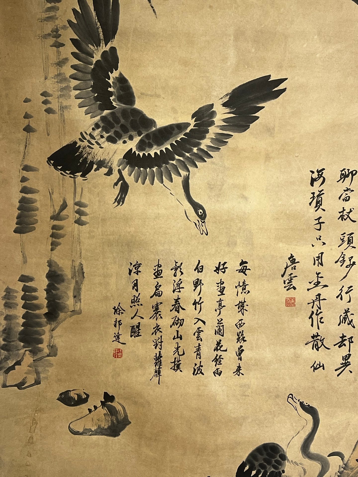 Chinese scroll painting Ba Da Shan Ren Zhu Da
