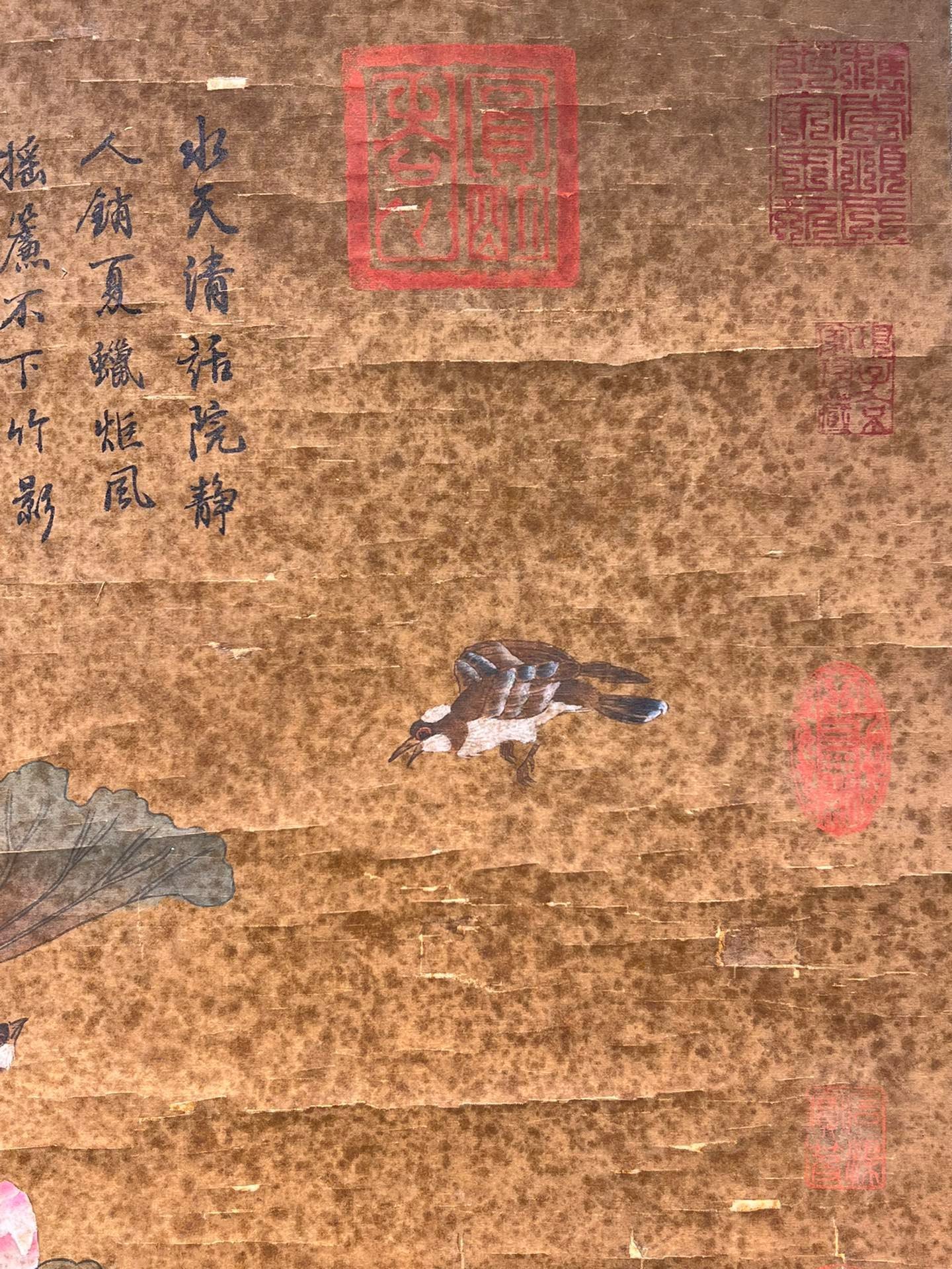 Chinese scroll painting Xu Xi