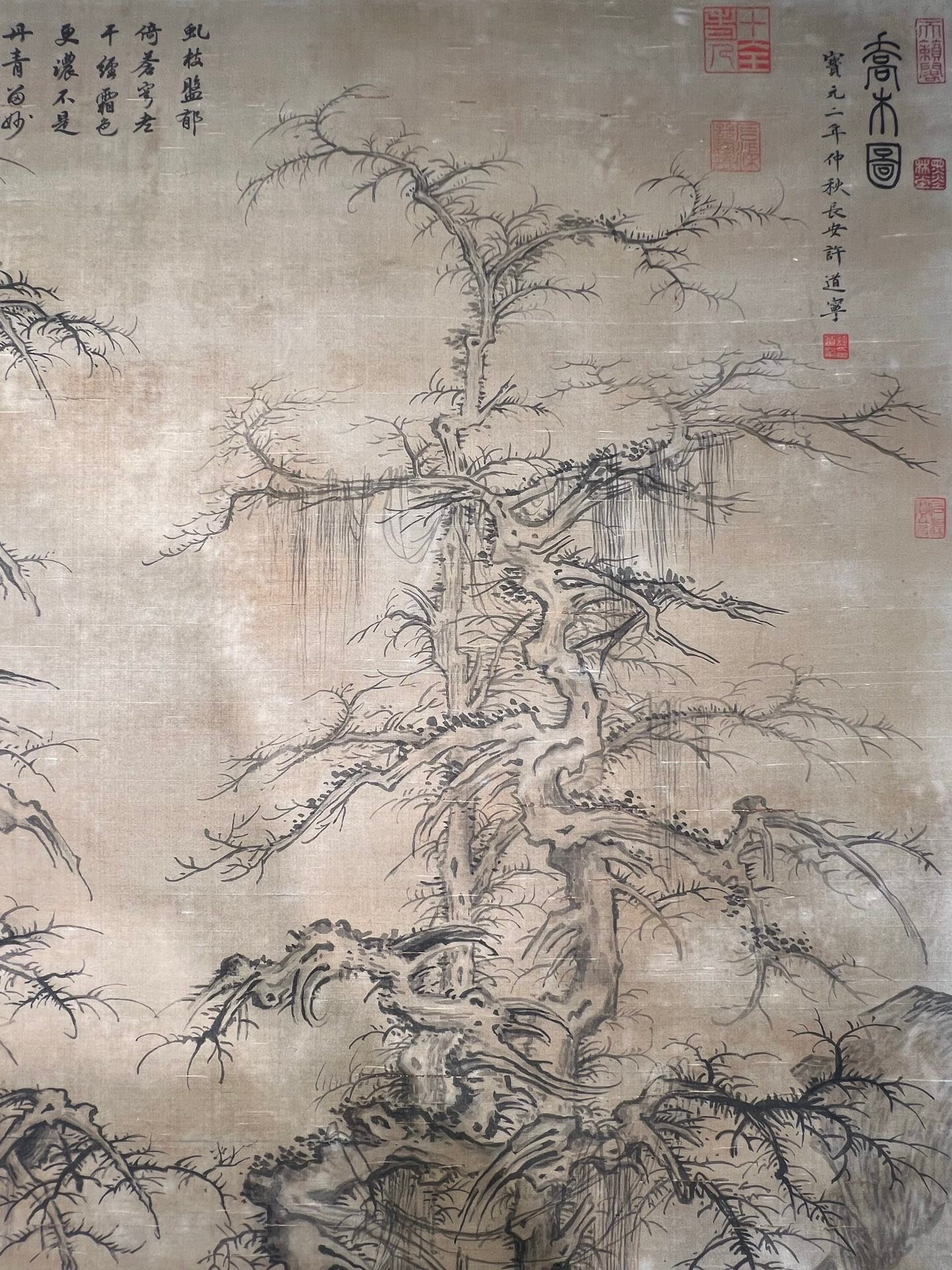 Chinese scroll painting Xu Daoning