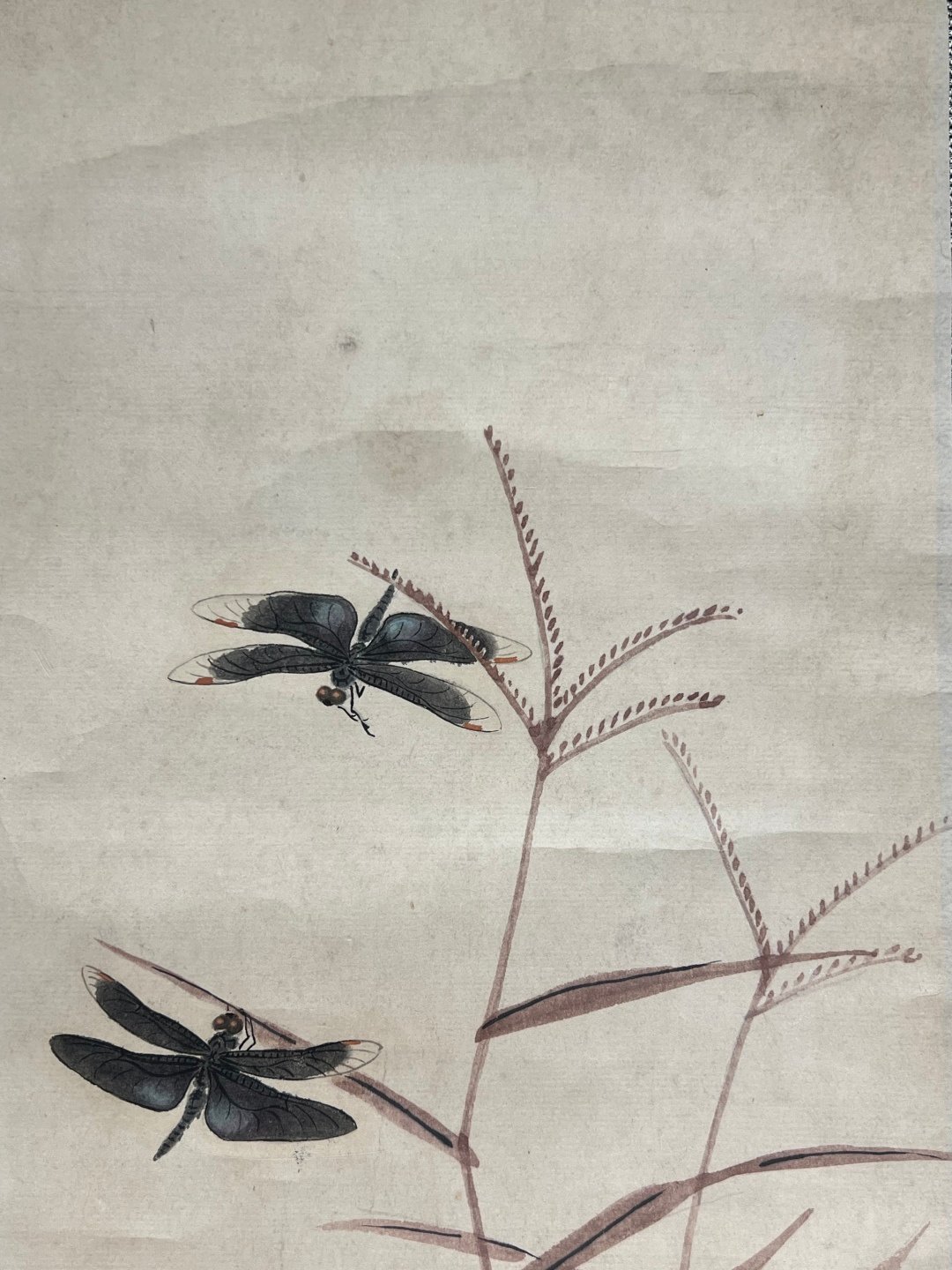 Chinese scroll painting Xu Yang