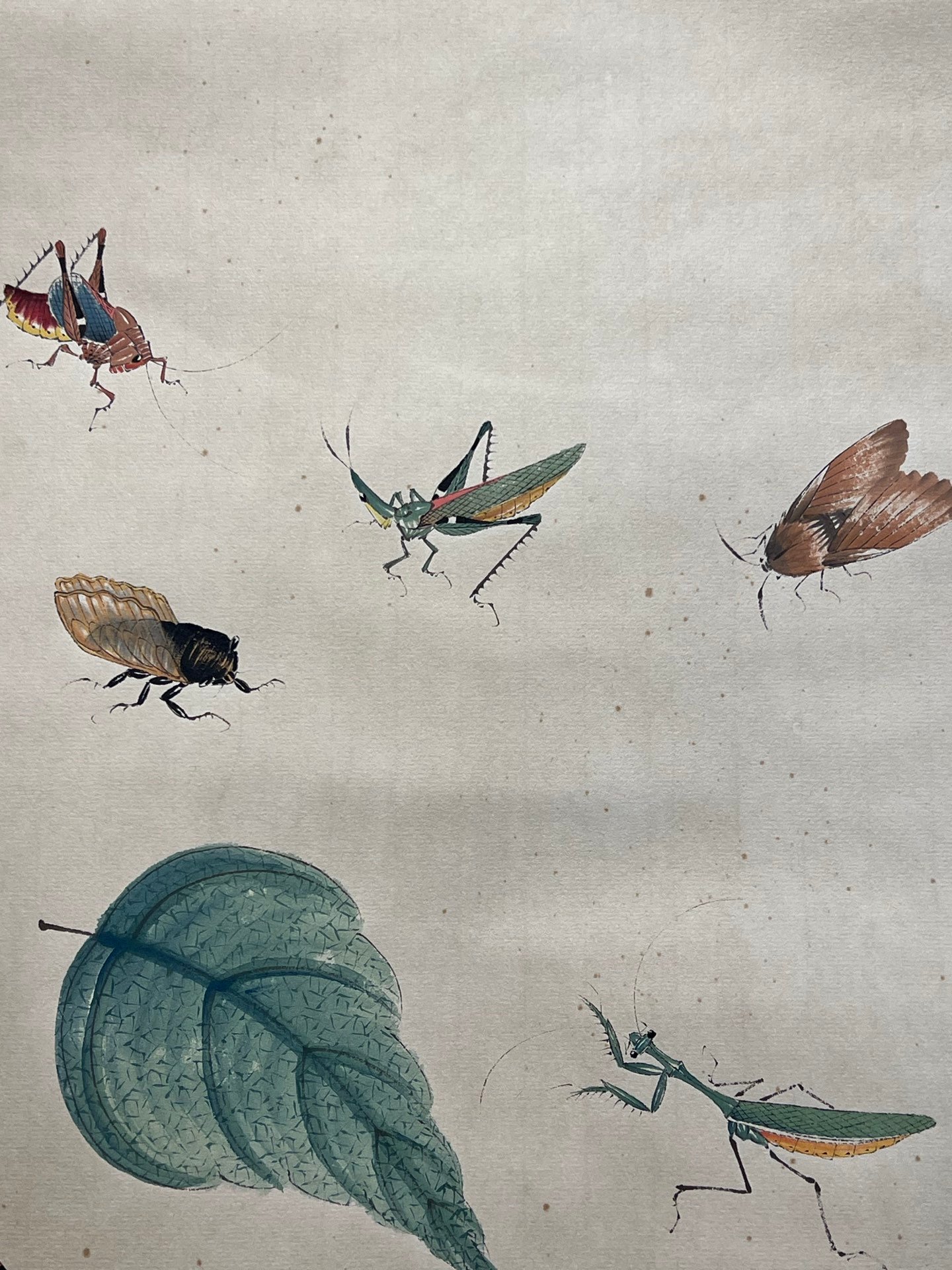 Chinese scroll painting Qi Baishi