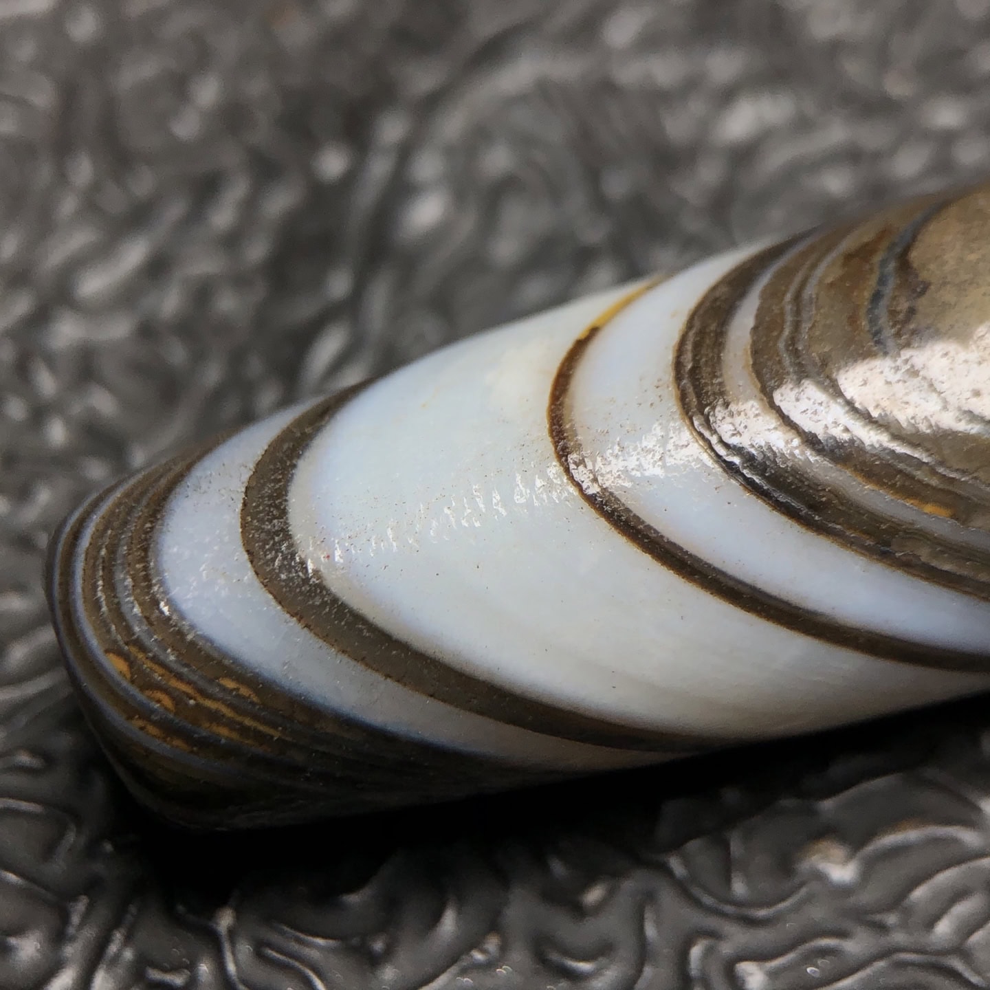 Chinese Natural Jade Carved Dzi beads