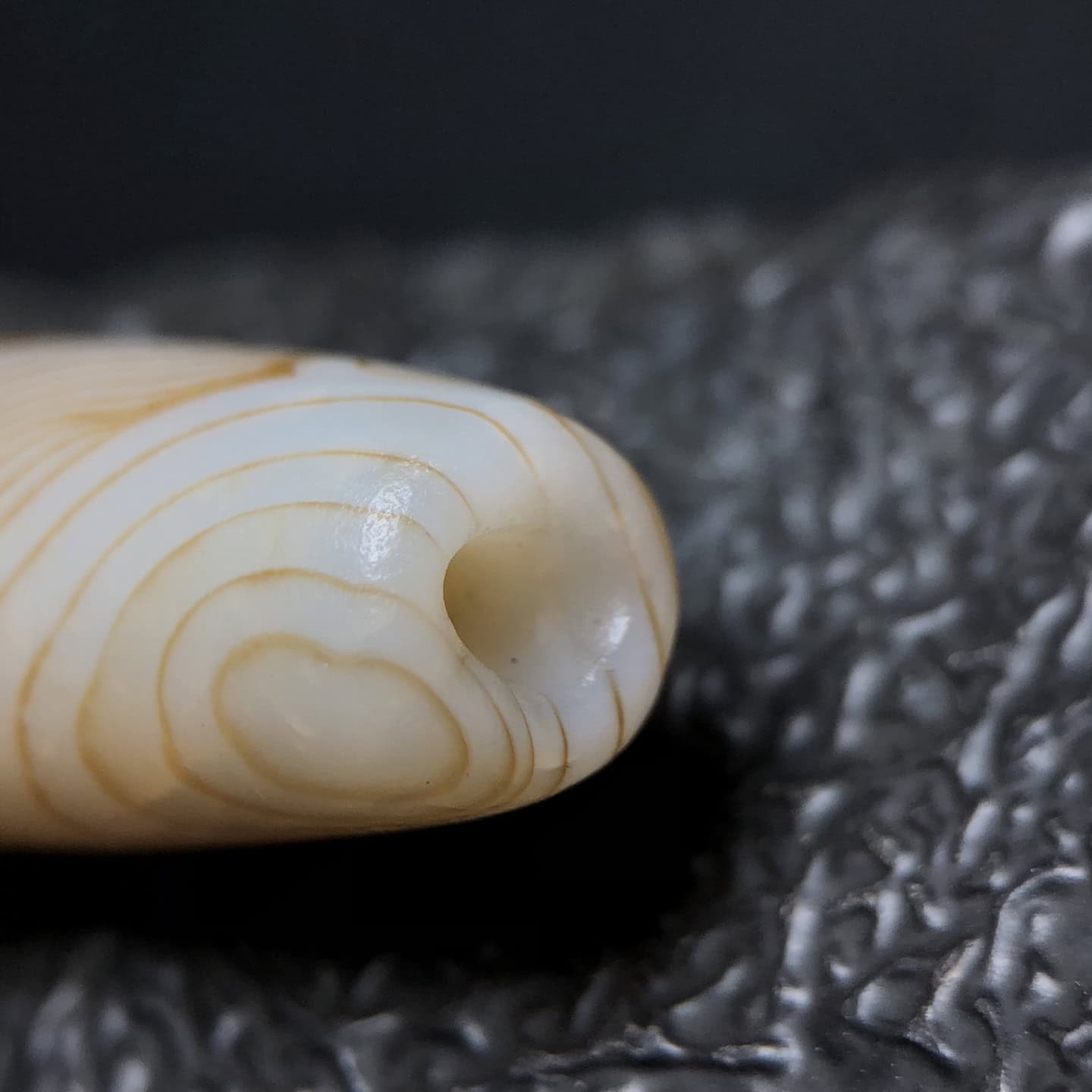 Chinese Natural Jade Carved Dzi beads