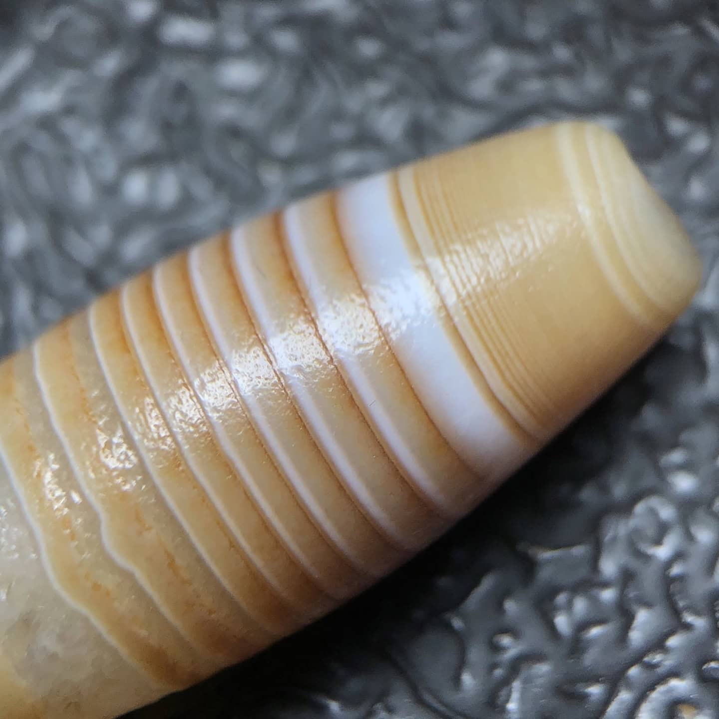 Chinese Natural Jade Carved Dzi beads