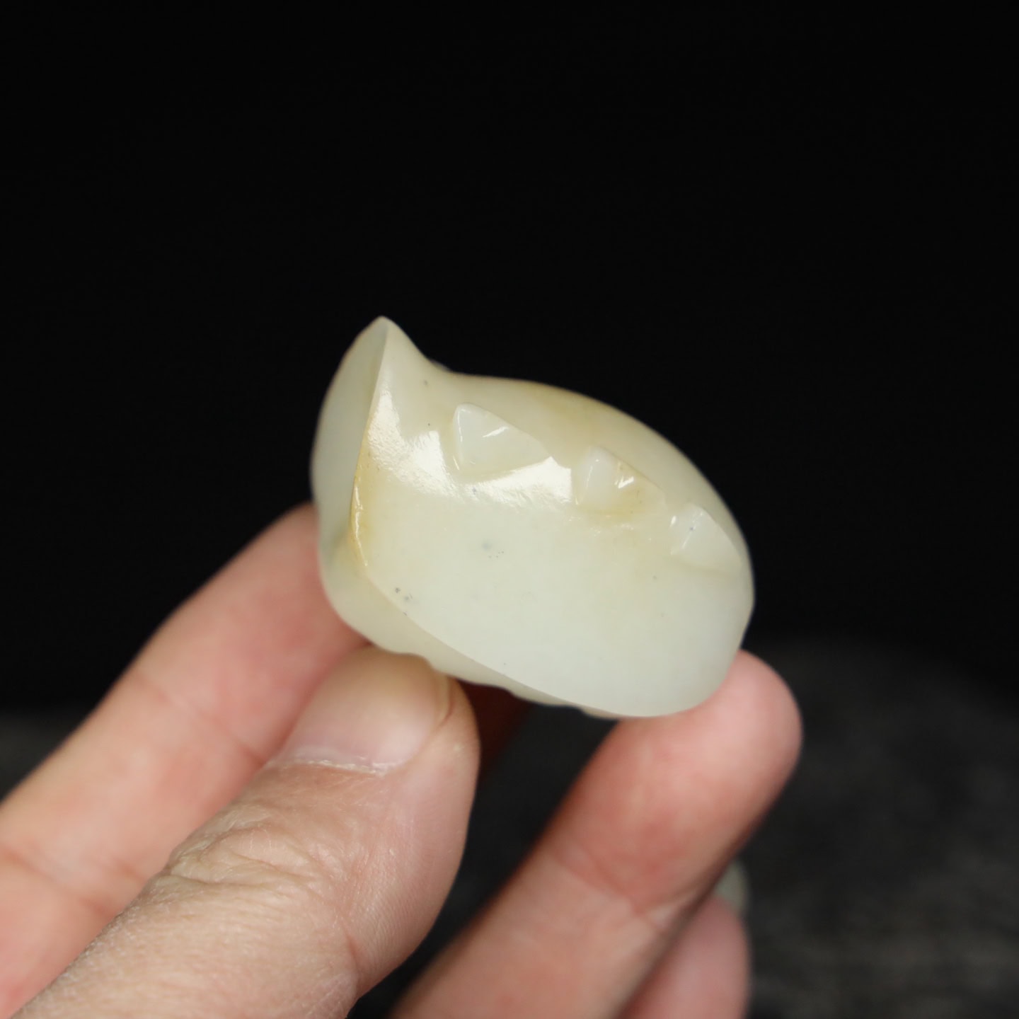 Chinese Natural Jade Carved turtle shells