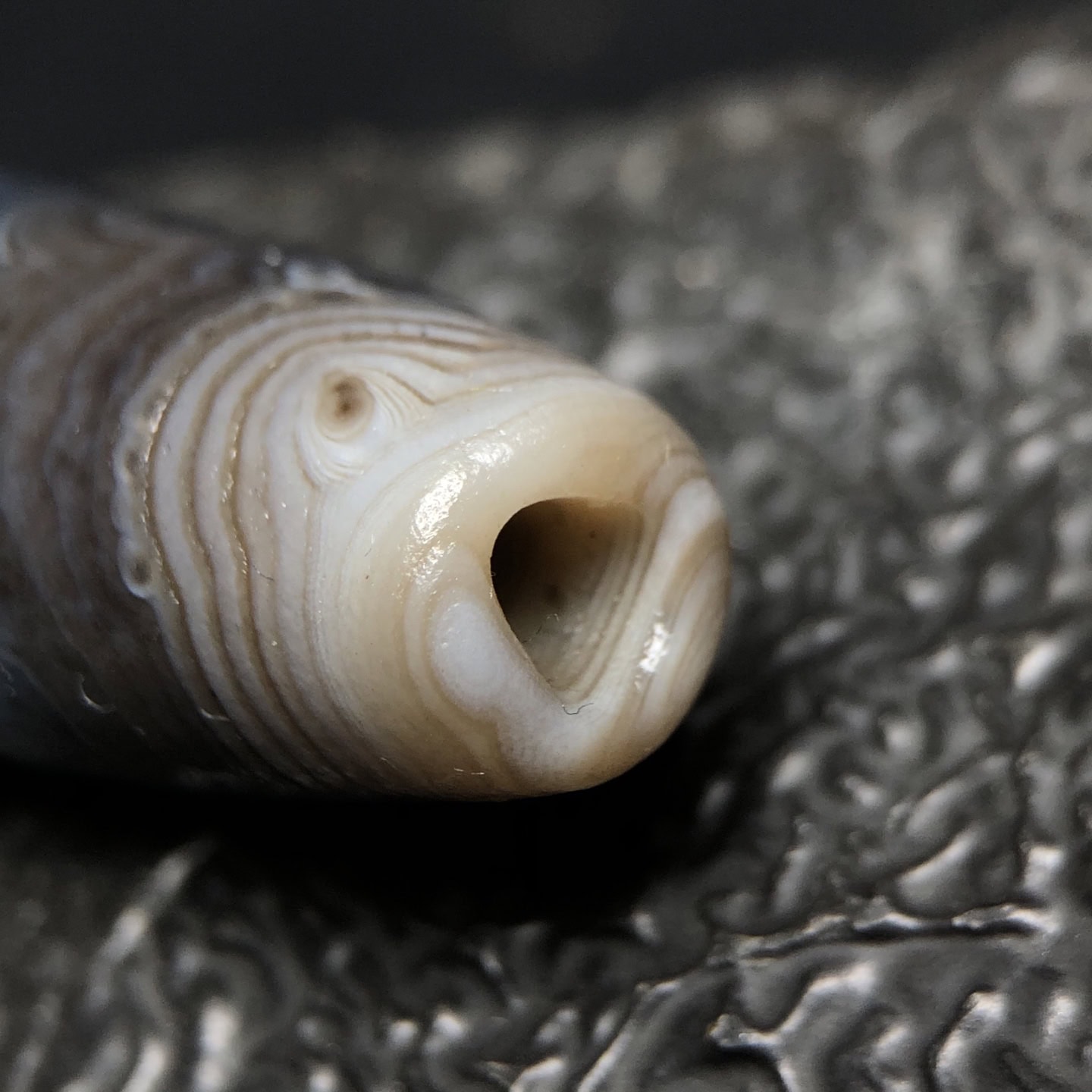 Chinese Natural Jade Carved dzi beads