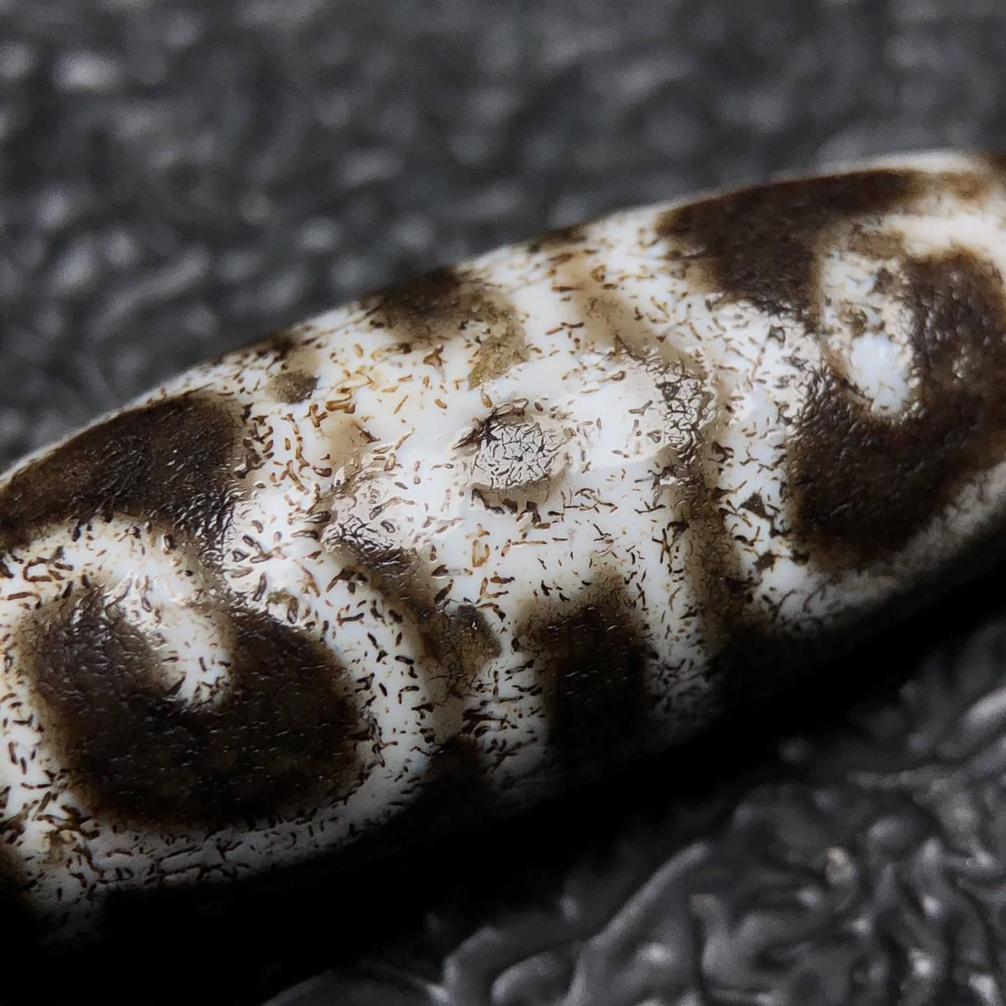 Chinese Natural Jade Carved Dzi Beads