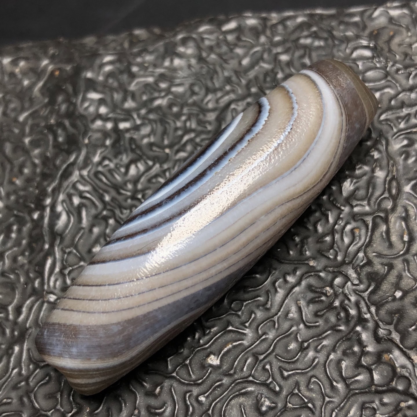 Chinese Natural Jade Carved Dzi beads