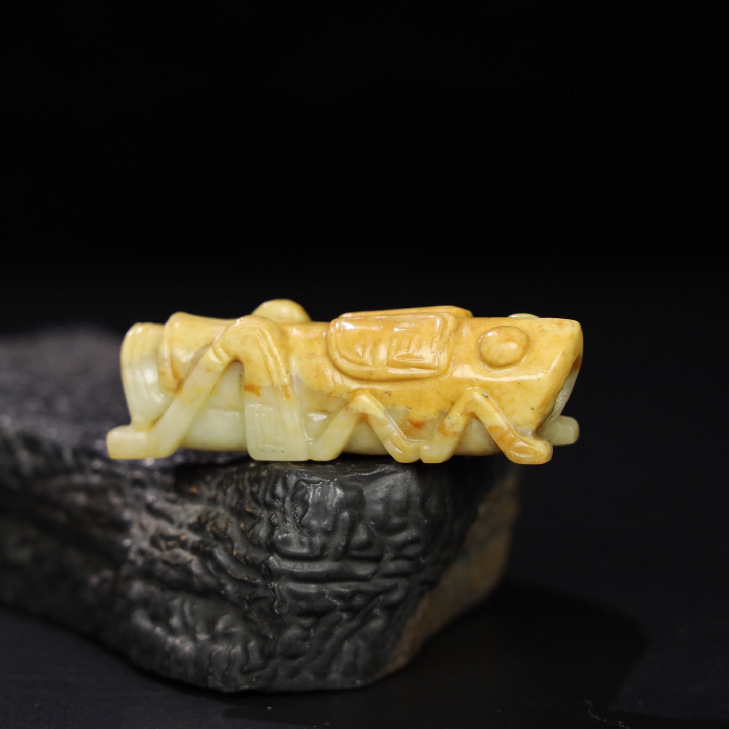 Chinese Natural Jade Carved Insect