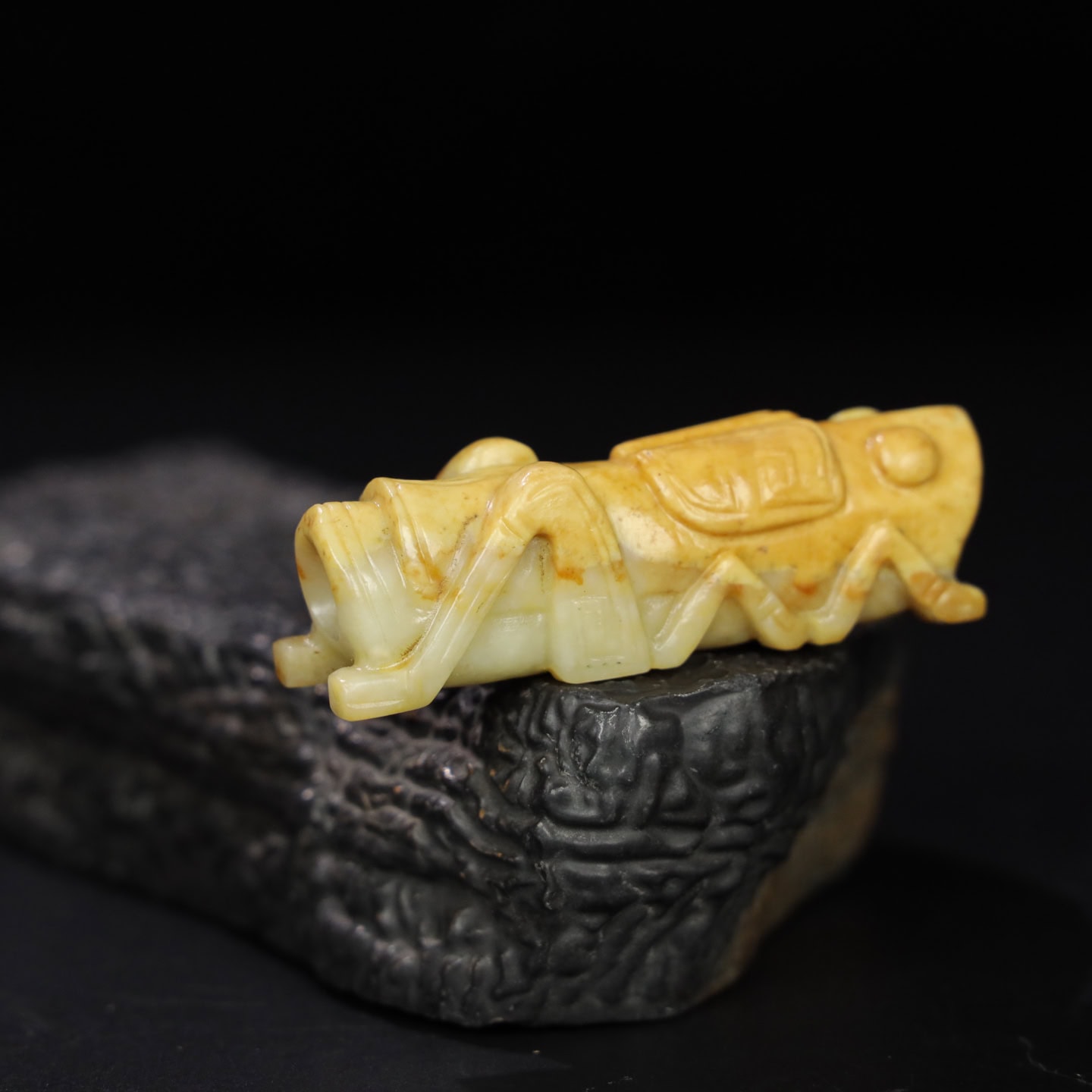 Chinese Natural Jade Carved Insect