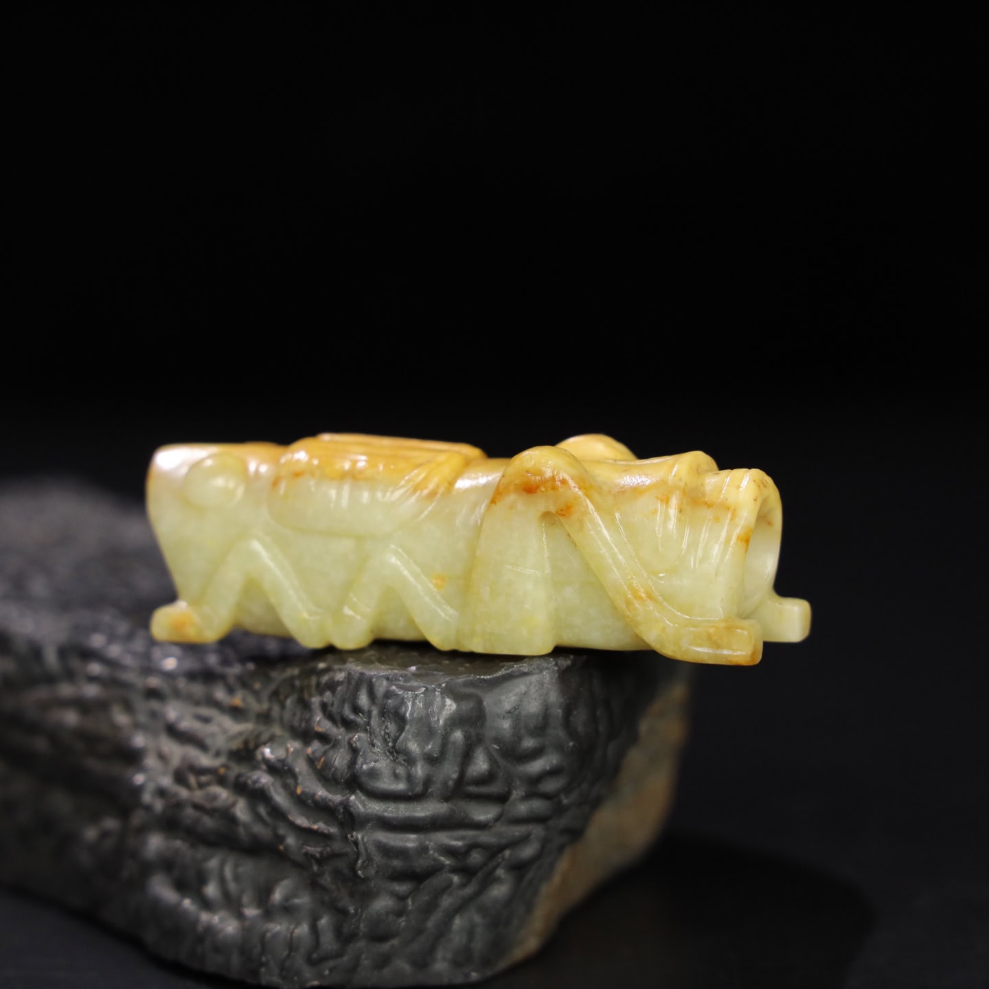 Chinese Natural Jade Carved Insect