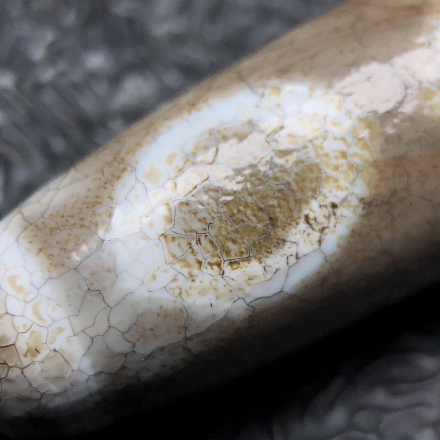 Chinese Natural Agate DZI Beads