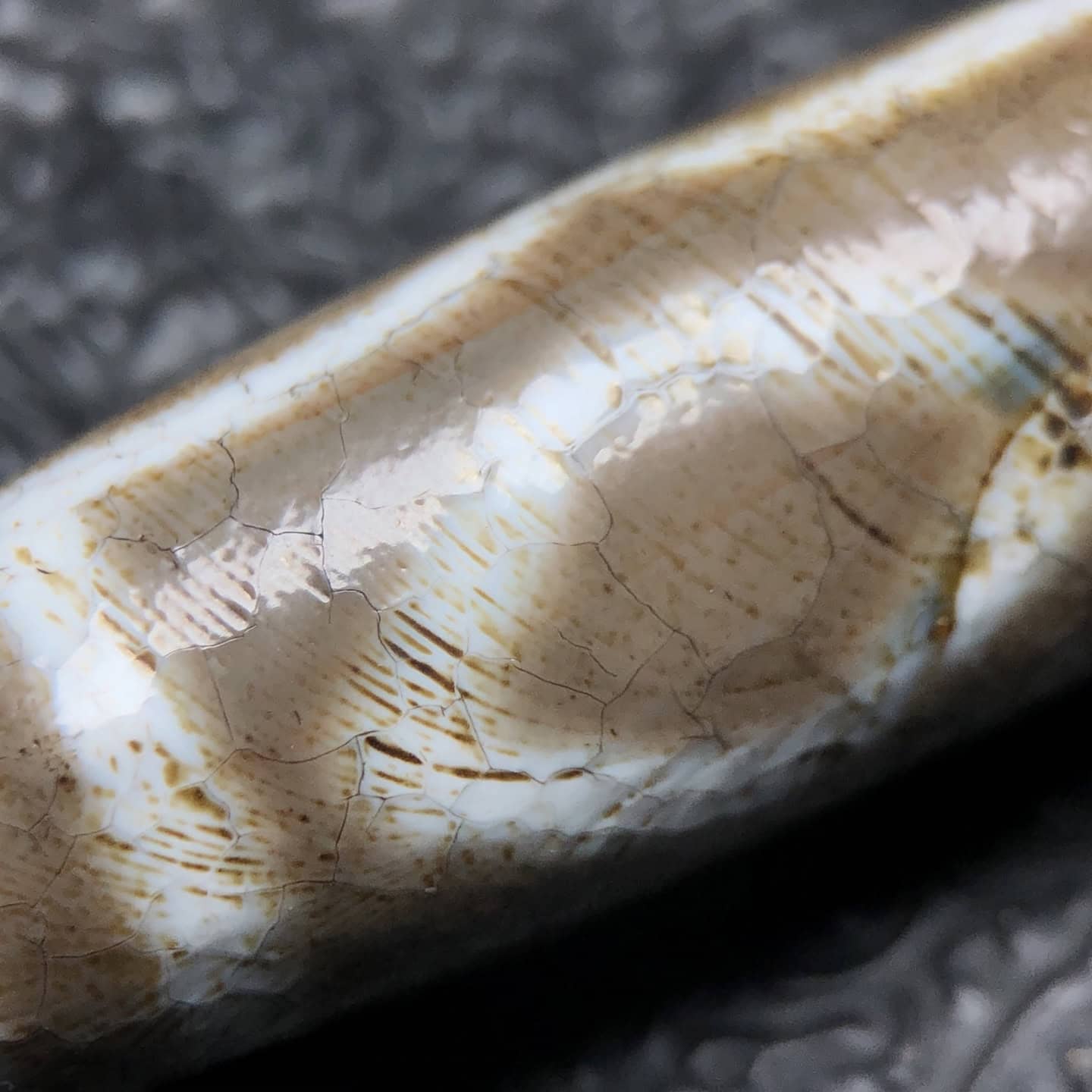 Chinese Natural Agate DZI Beads