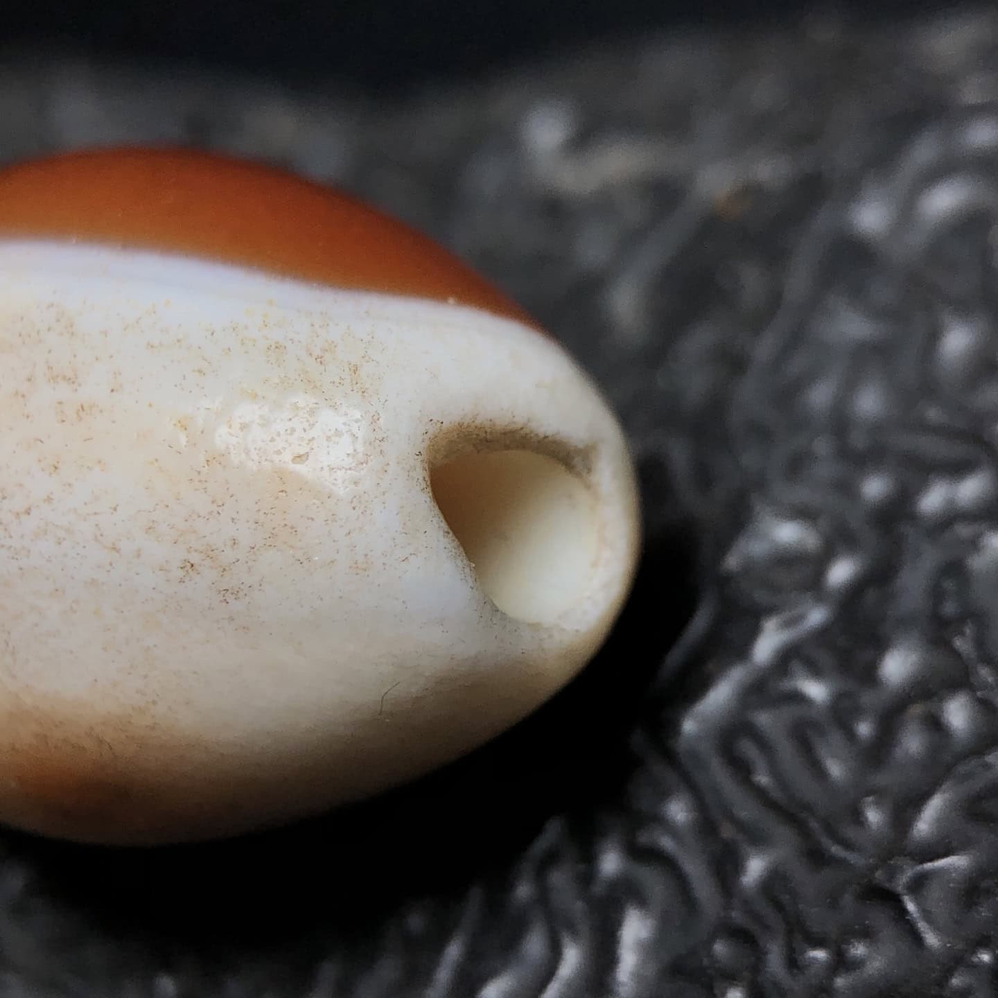 Chinese Natural Agate DZI Beads
