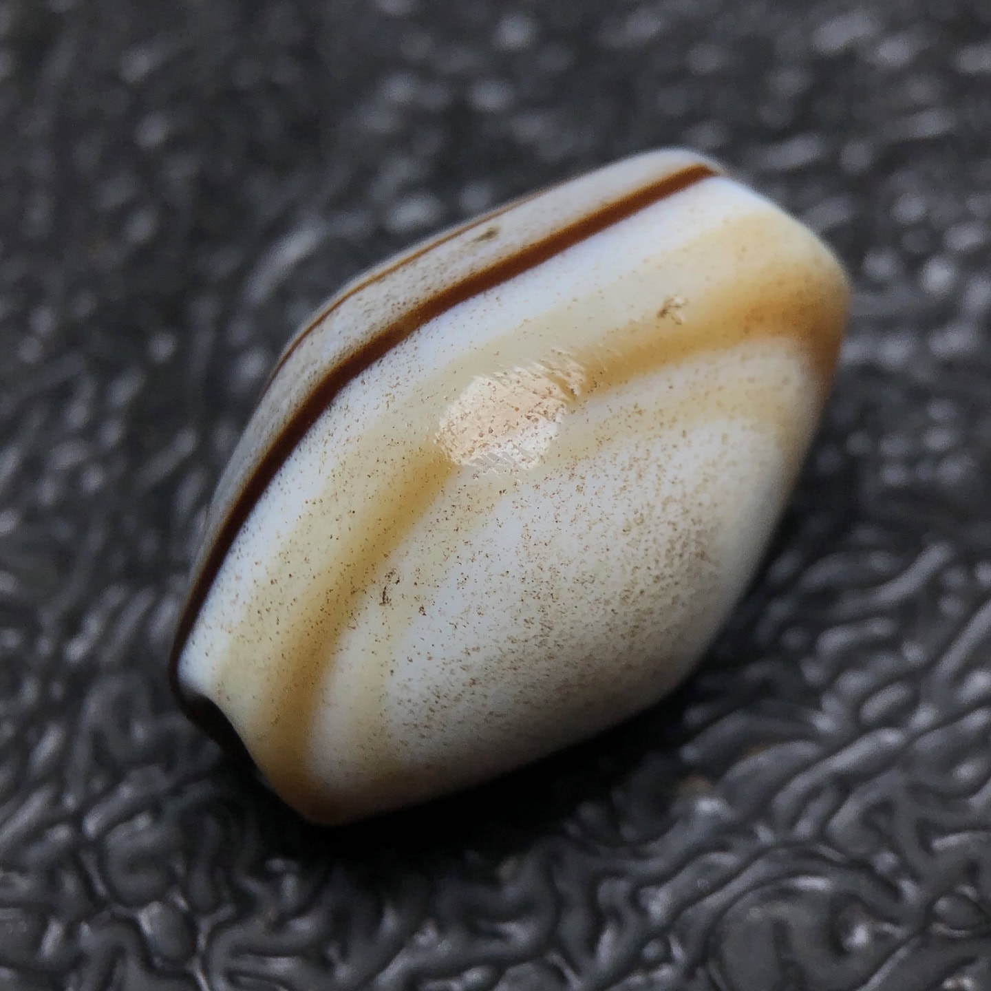 Chinese Natural Agate DZI Beads