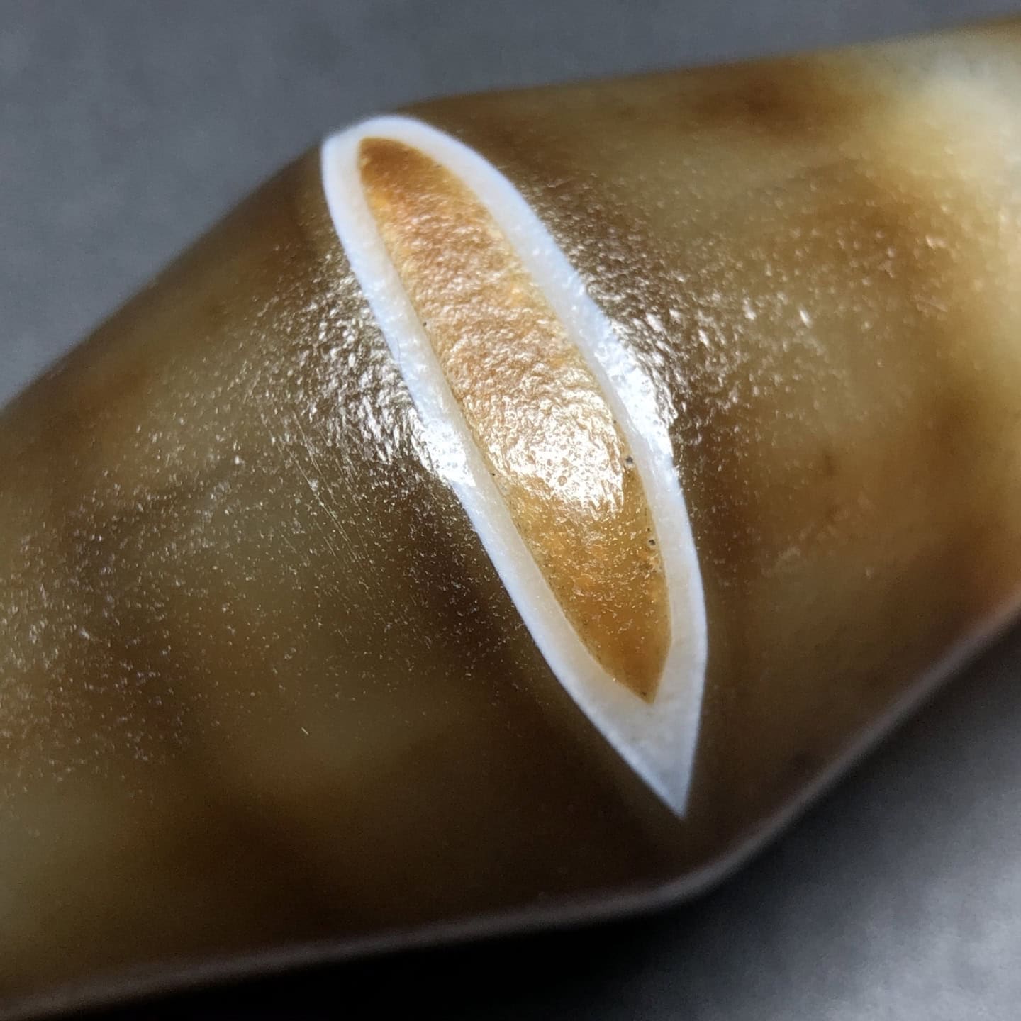 Chinese Natural Agate DZI Beads