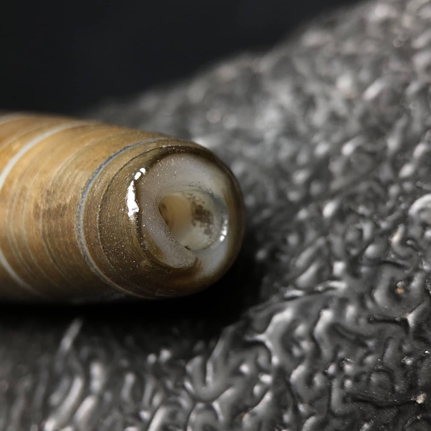 Chinese Natural Agate DZI Beads