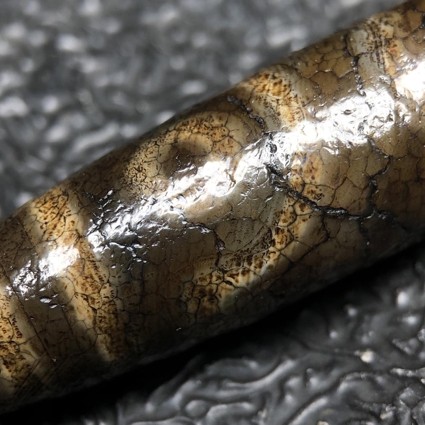 Chinese Natural Agate DZI Beads