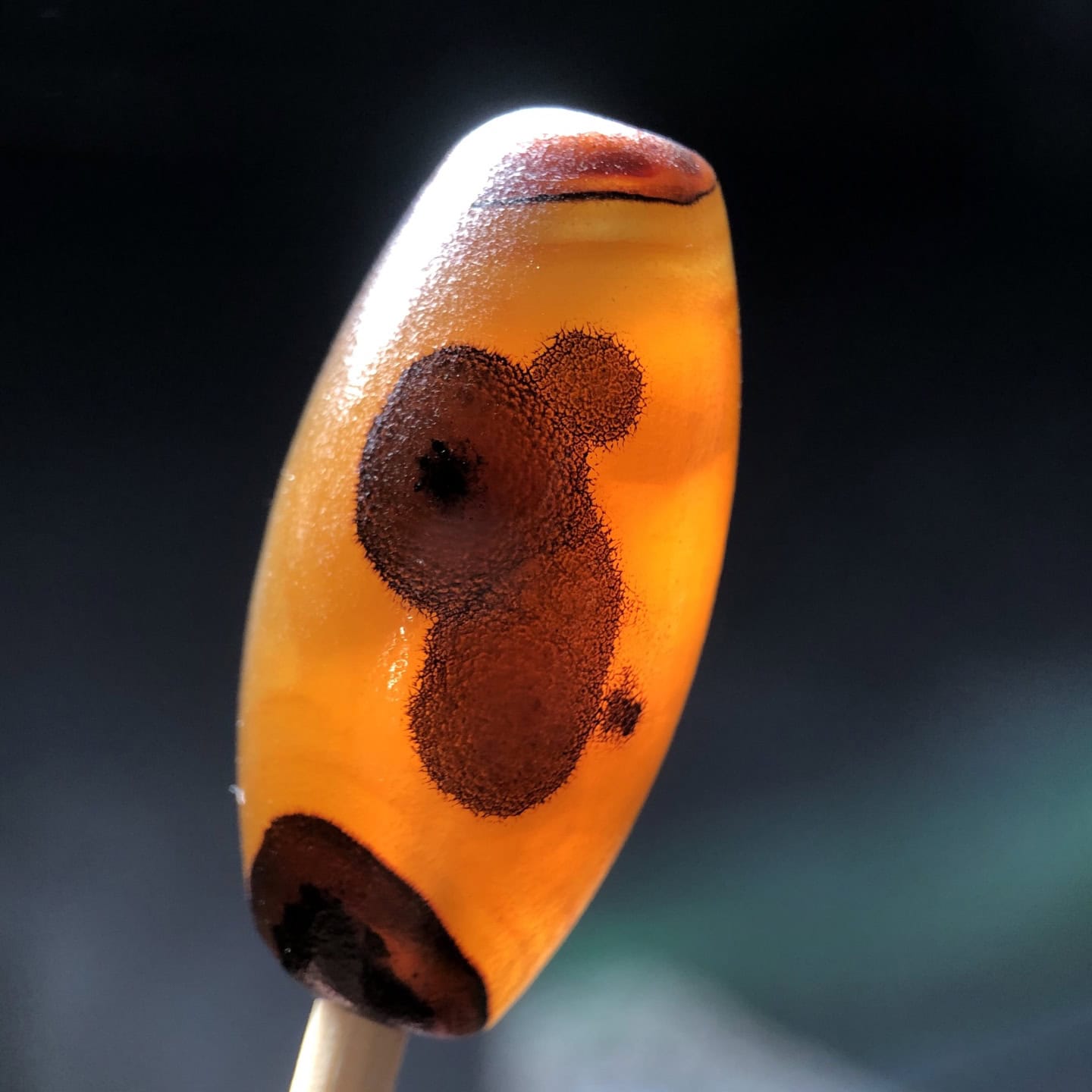 Chinese Natural Agate DZI Beads