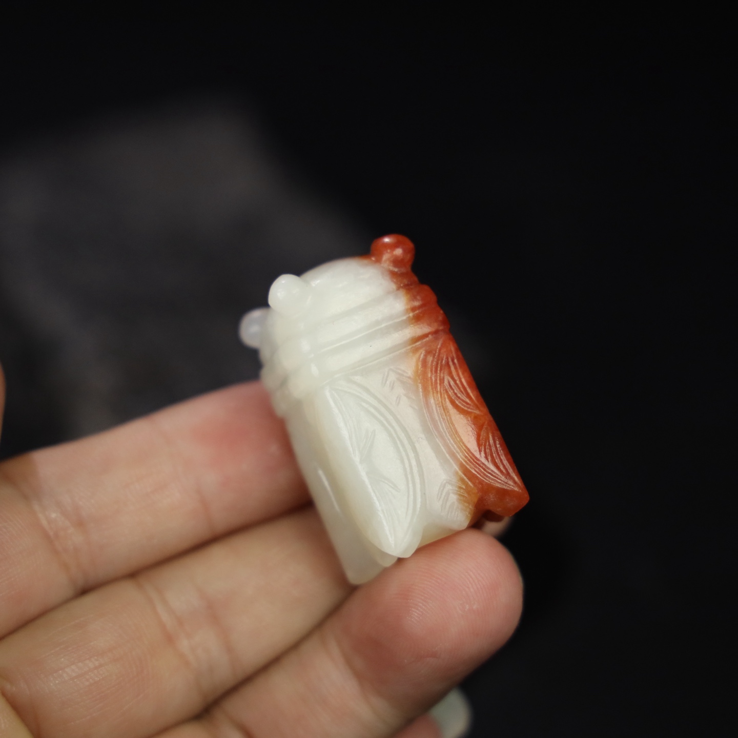 Chinese Natural Jade Carved Cicada