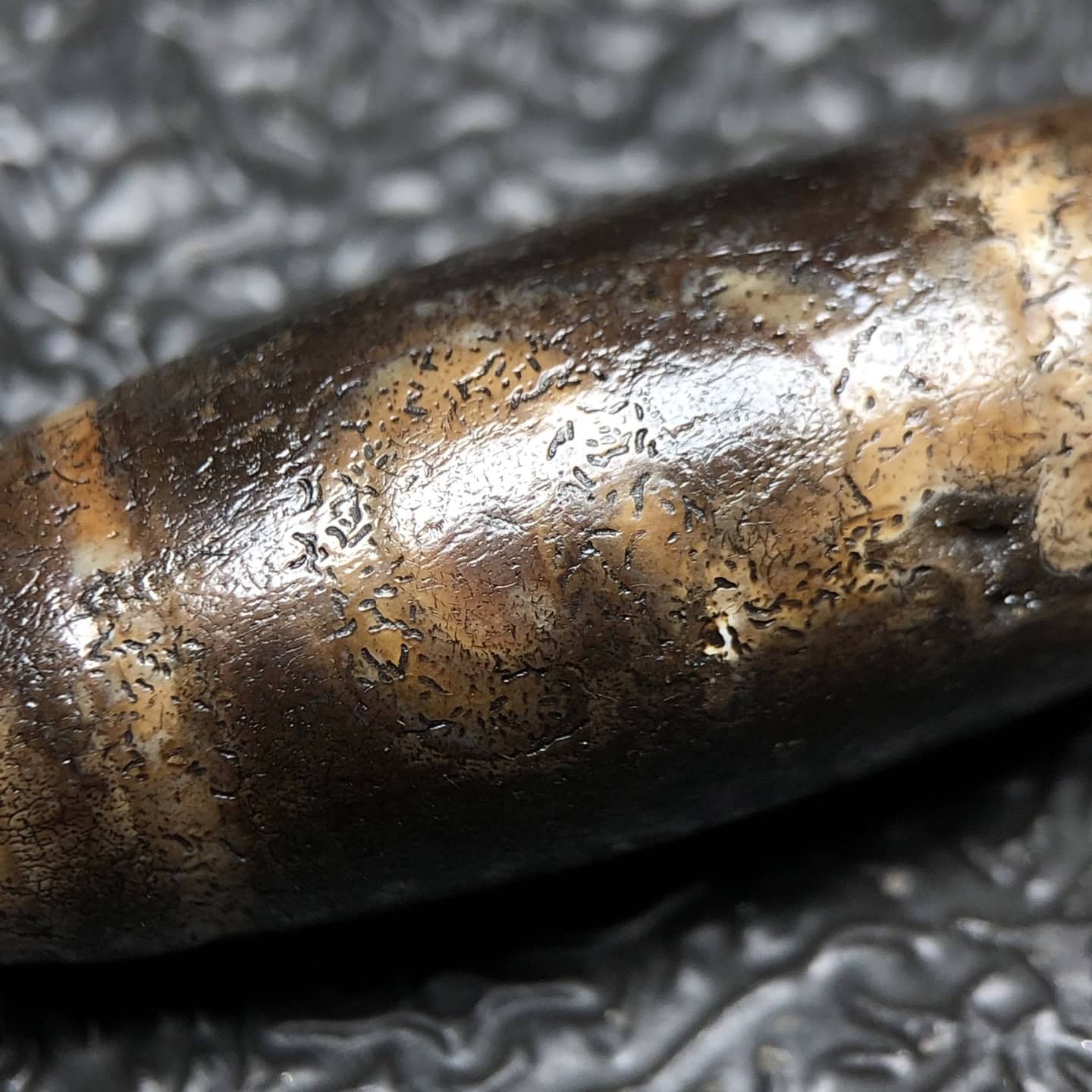 Chinese Natural Agate DZI Beads