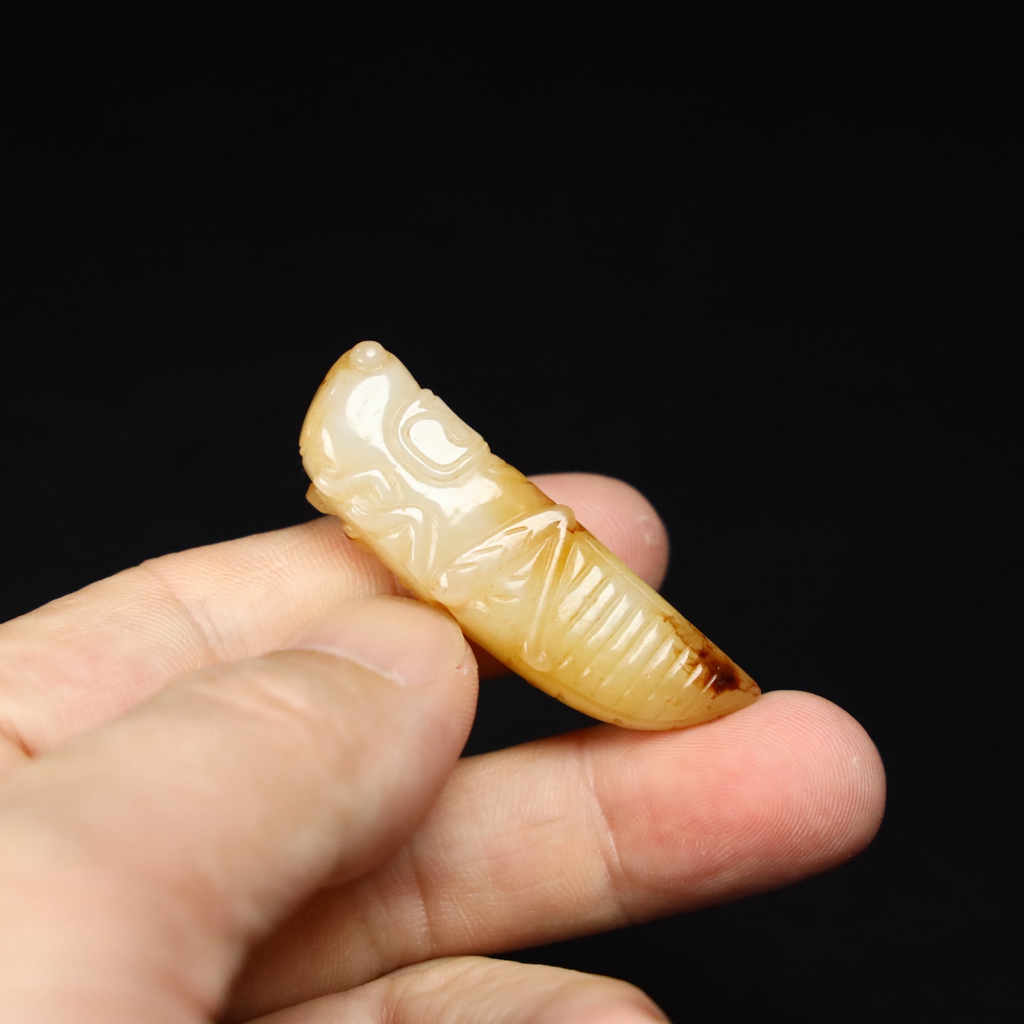 Chinese Natural Jade Carved cicada