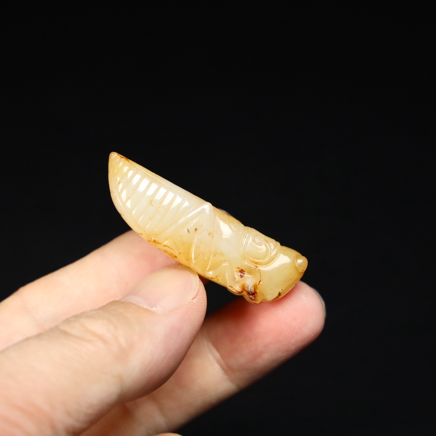 Chinese Natural Jade Carved cicada